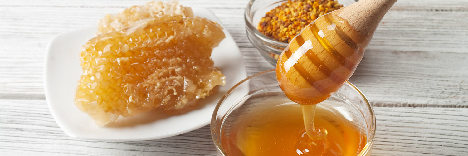 LP_Propolis_Header