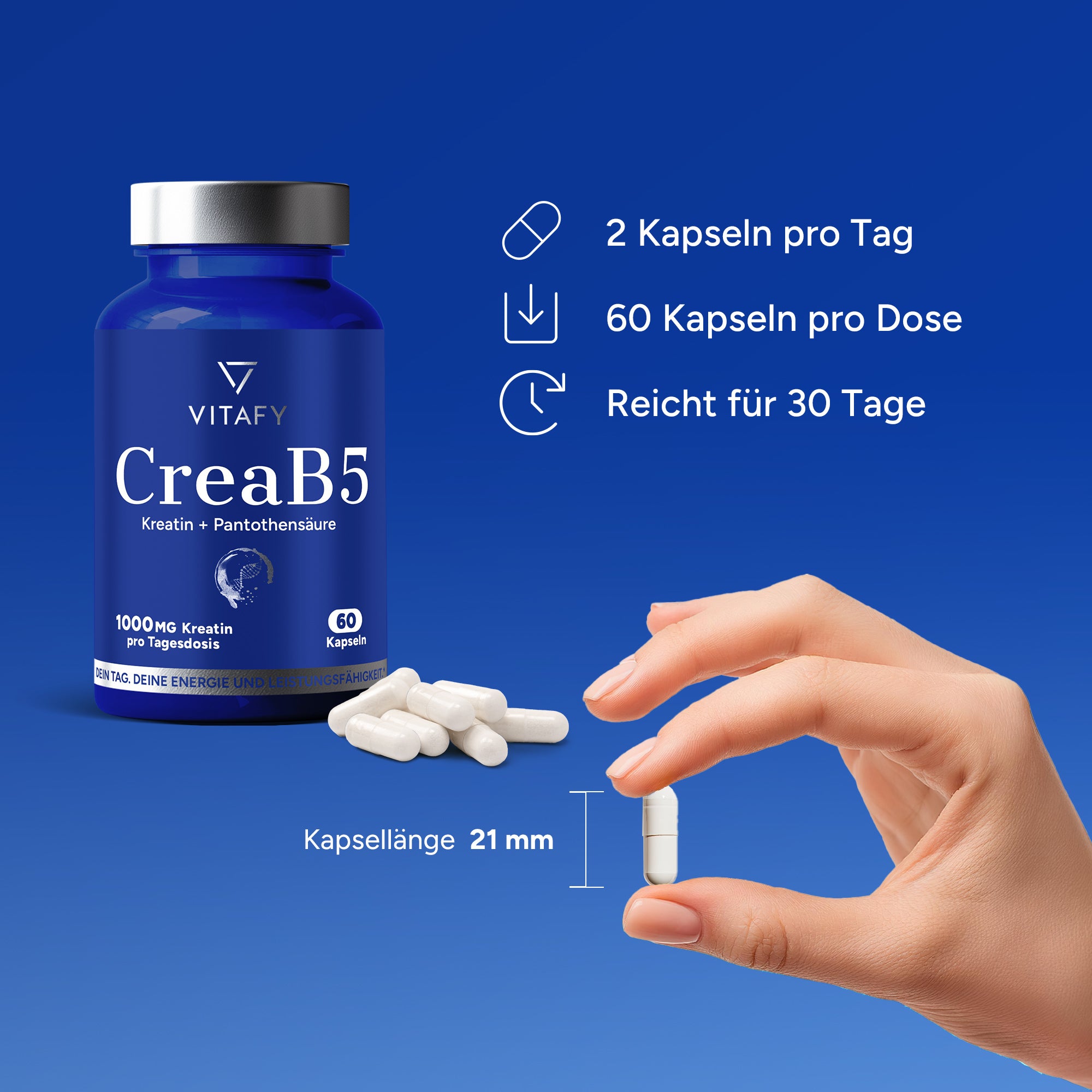 CreaB5 (60 Kapseln)