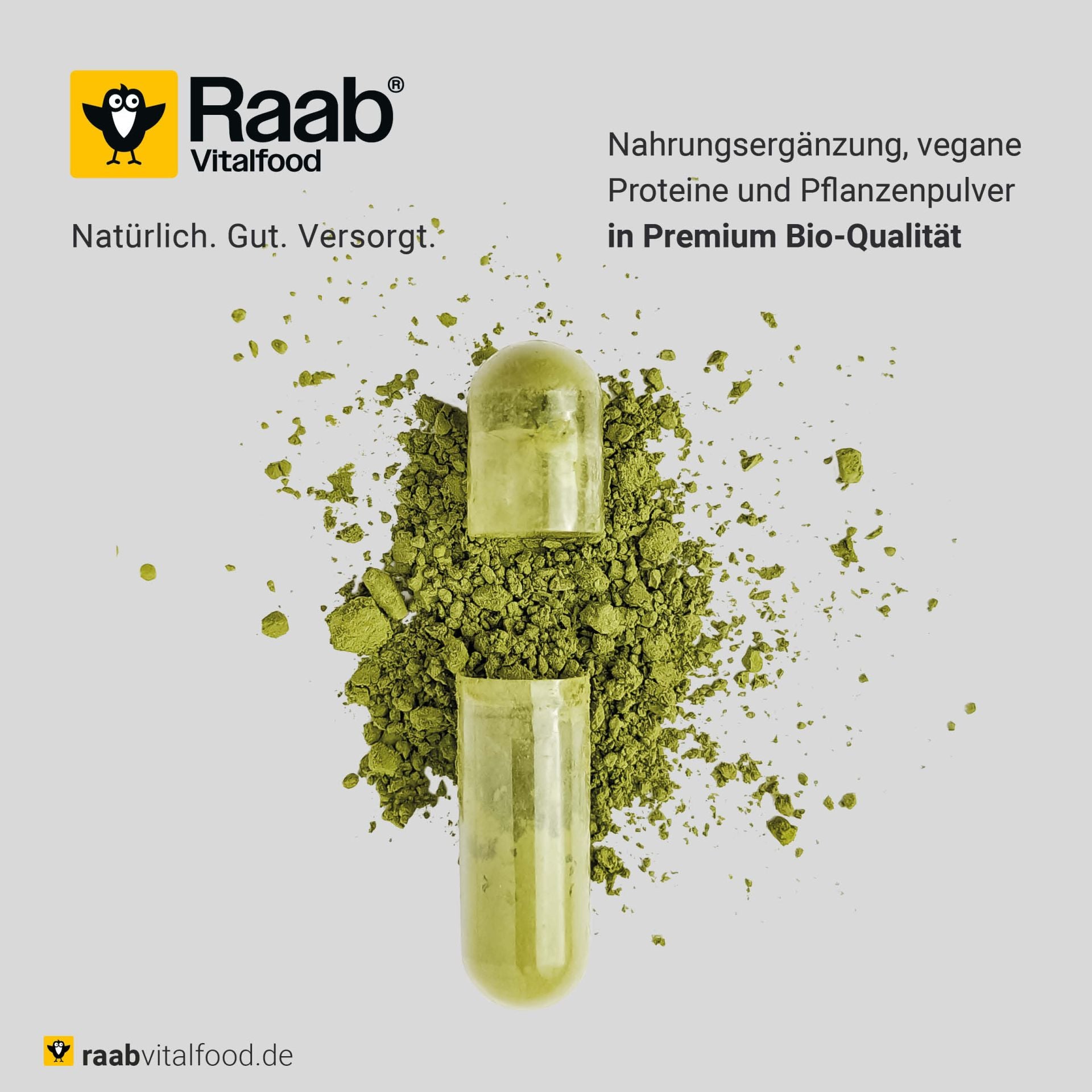 Bio Kürbiskern Protein (500g)