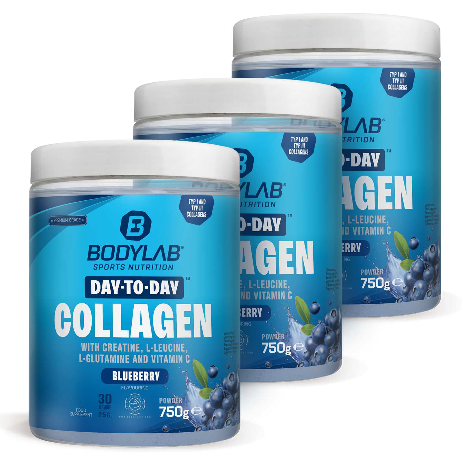 3 x Day to Day Collagen (3 x 750g)