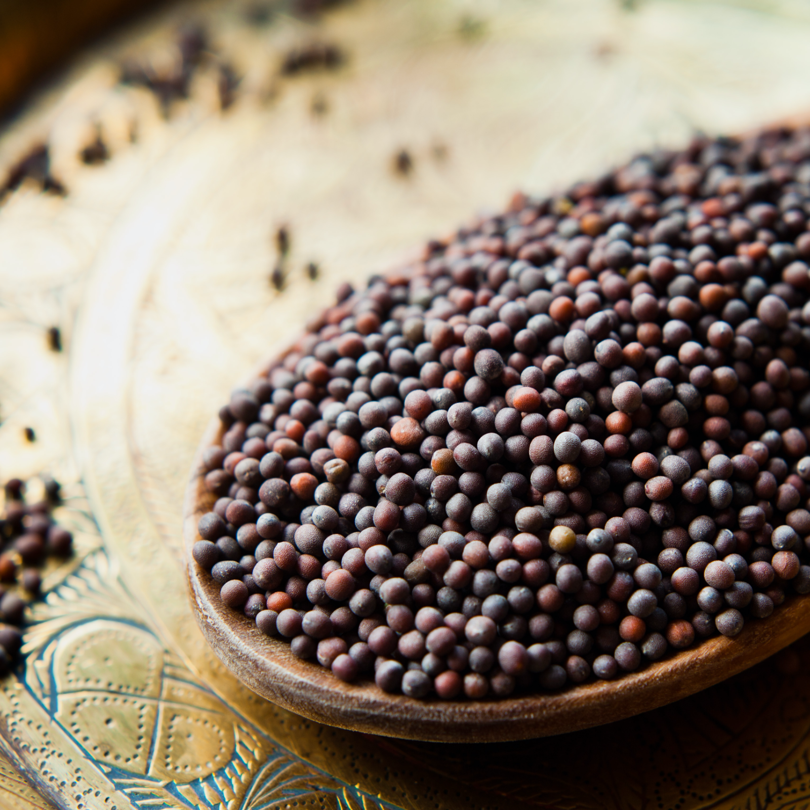 Senfsaat braun ganz Bio (1000g)