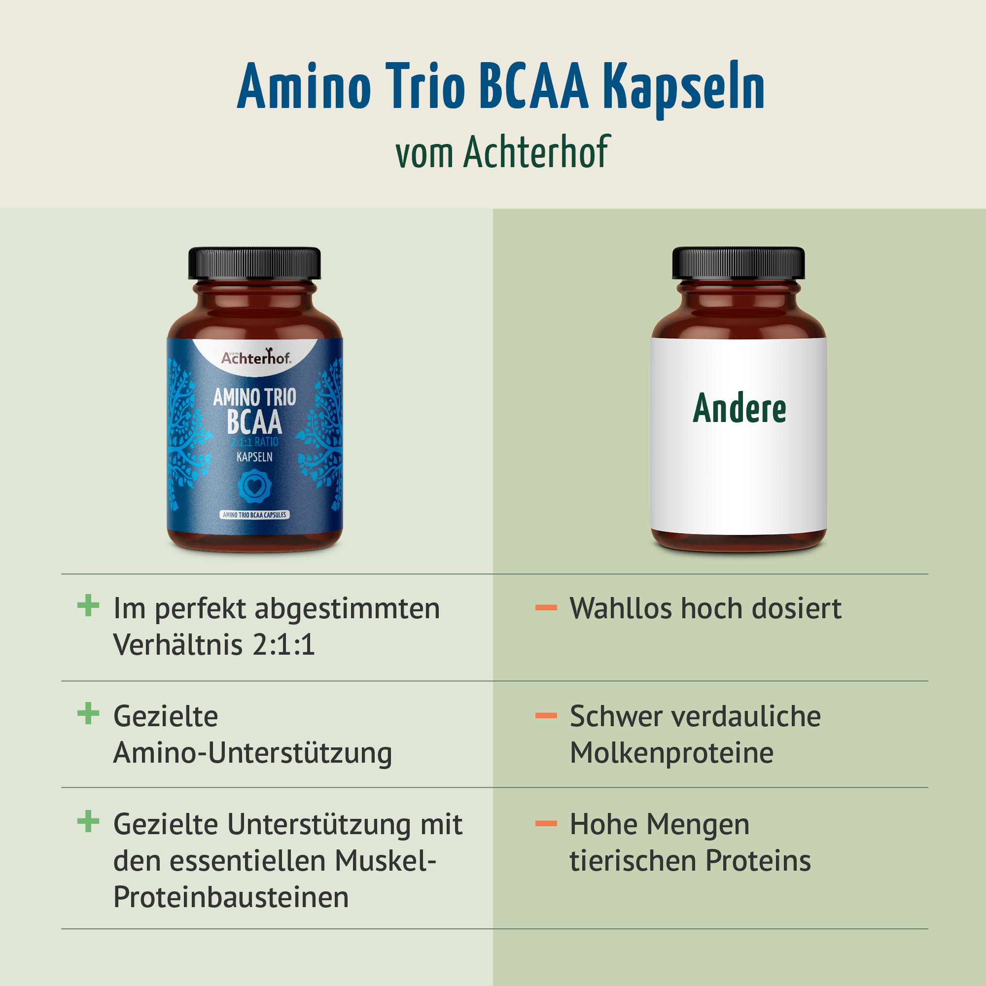 BCAA (120 Kapseln)