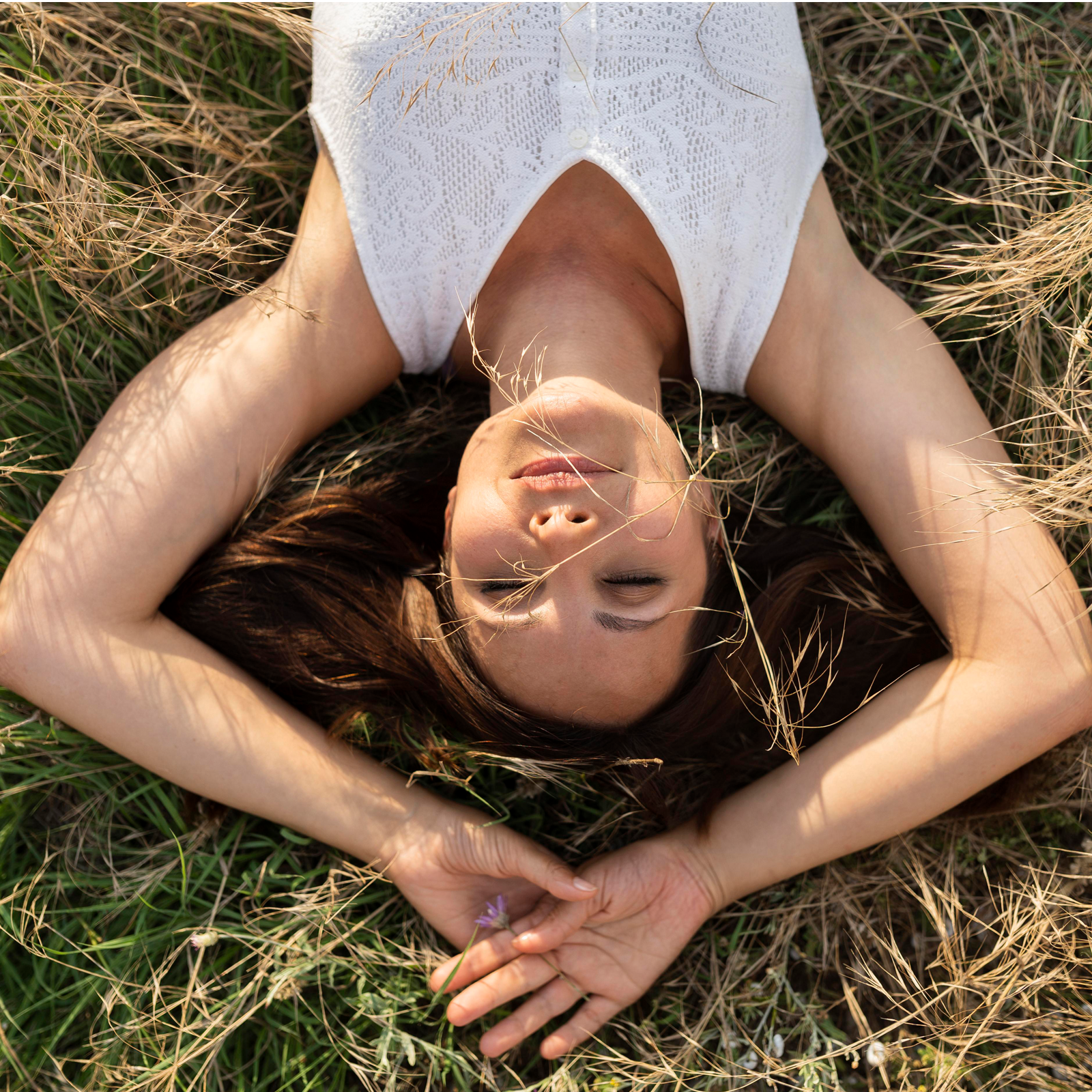 Baldrianwurzel geschnitten (500g)