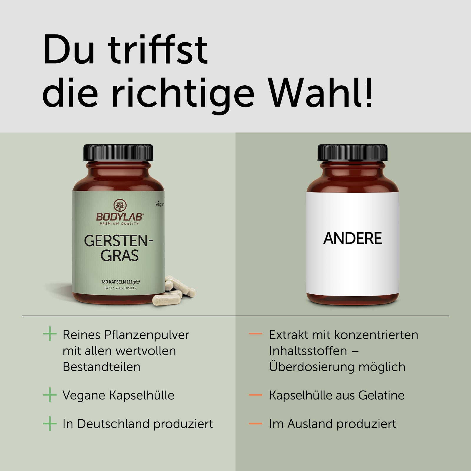 3 x Gerstengras in Kapselform (3 x 180 Kapseln)