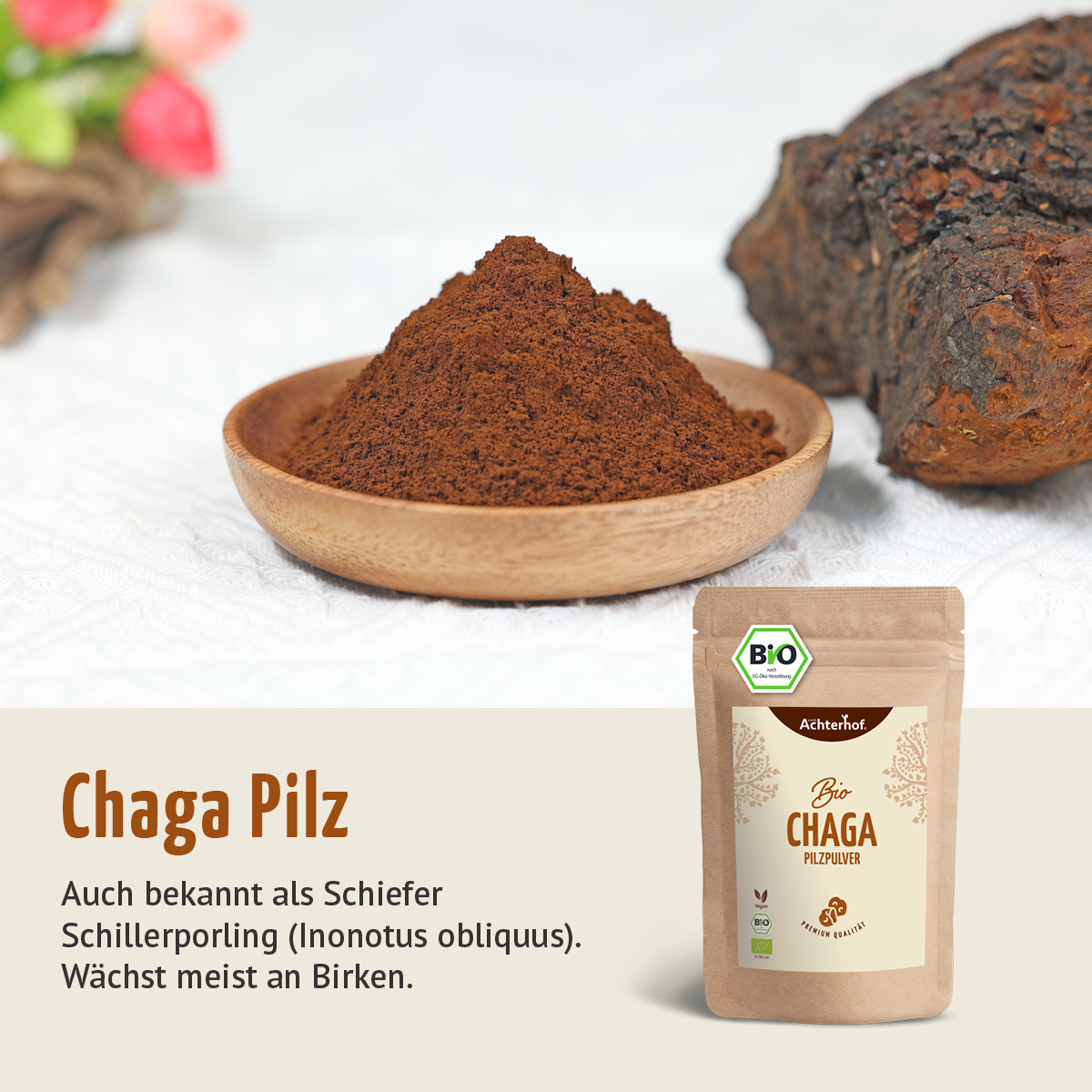Bio Chaga Pilzpulver (100g)