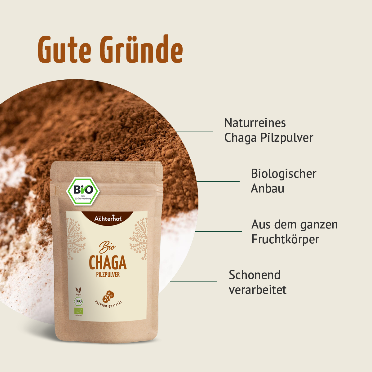 Bio Chaga Pilzpulver (100g)