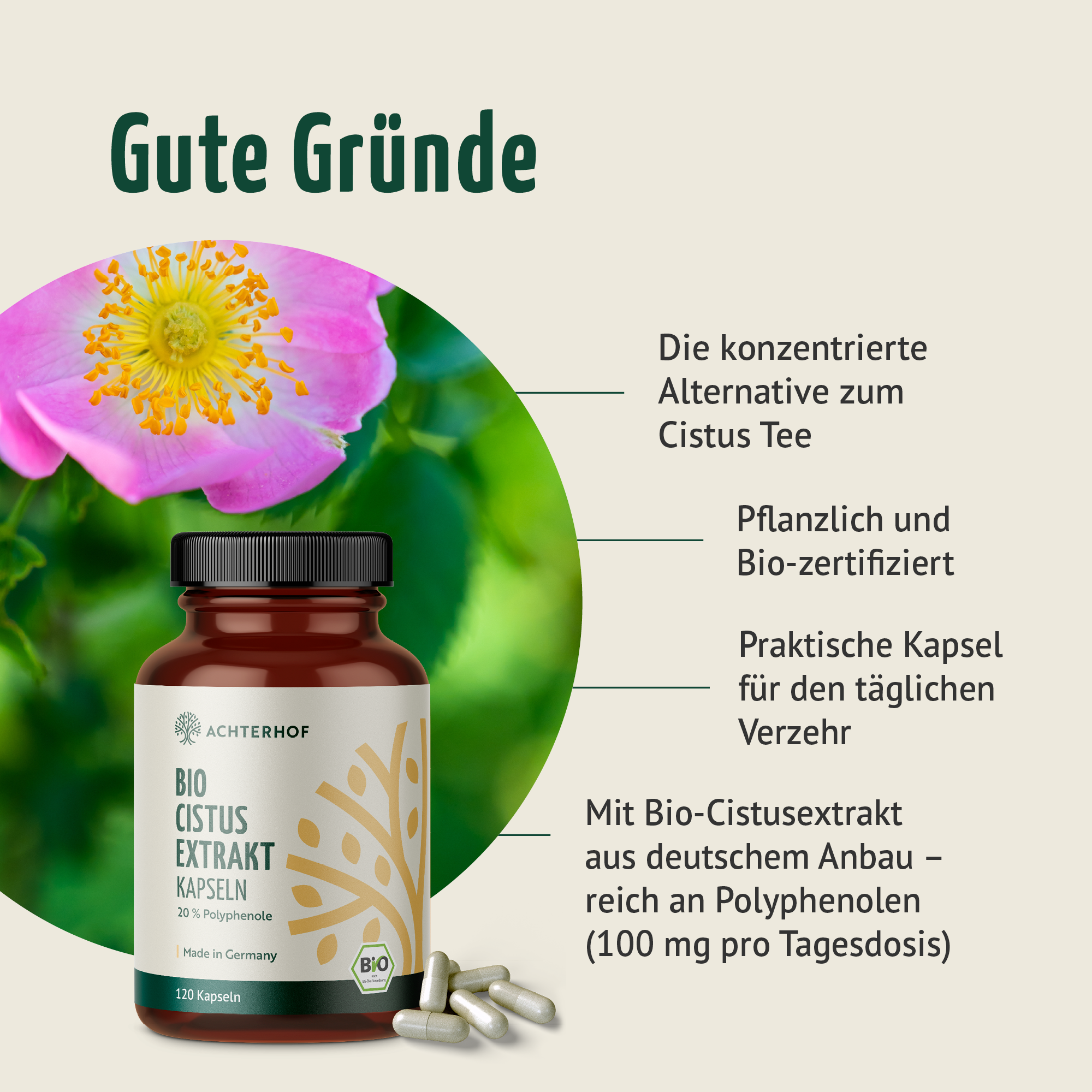 Bio Cistus Extrakt Kapseln (120 Kapseln)