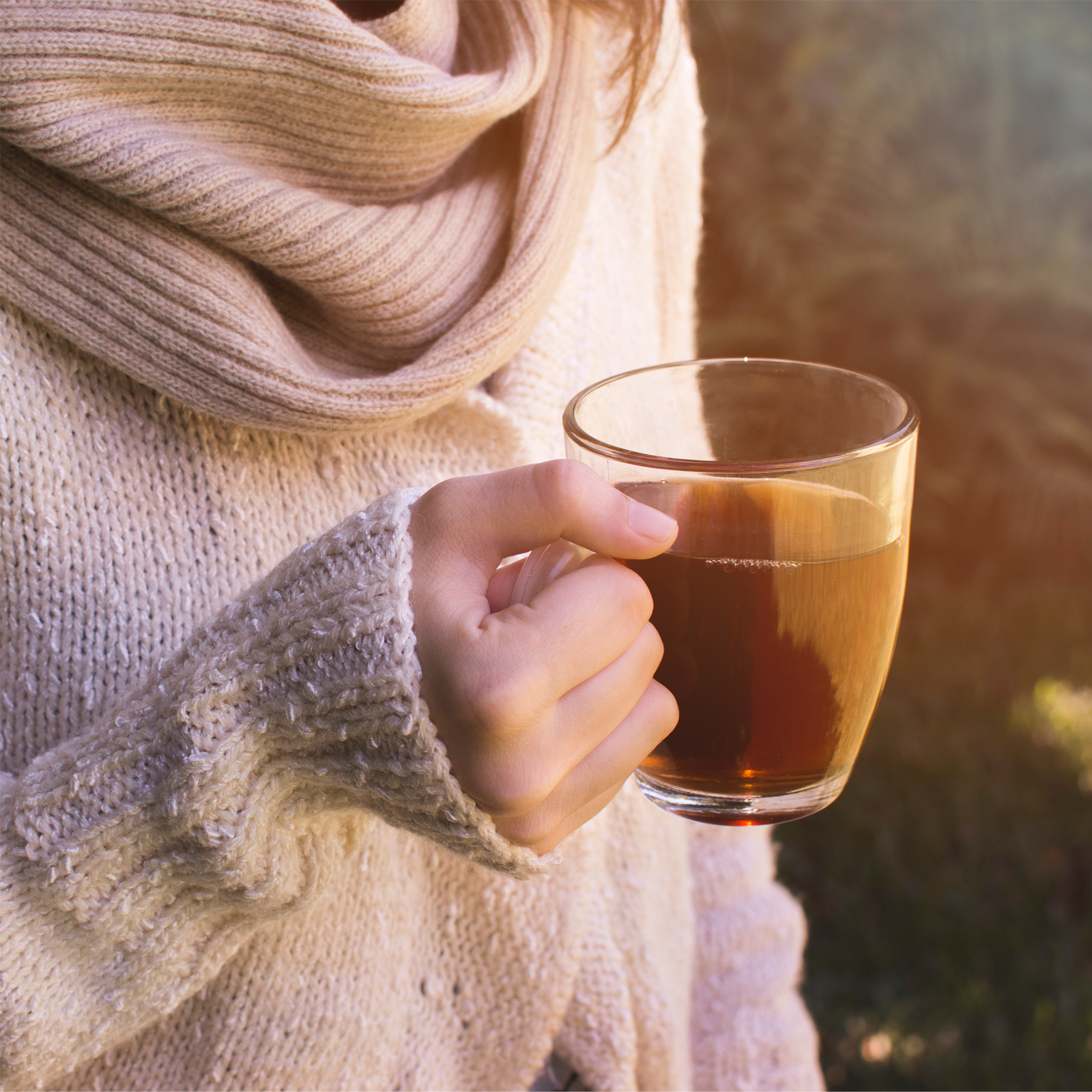 Ehrenpreiskraut geschnitten Bio (500g)