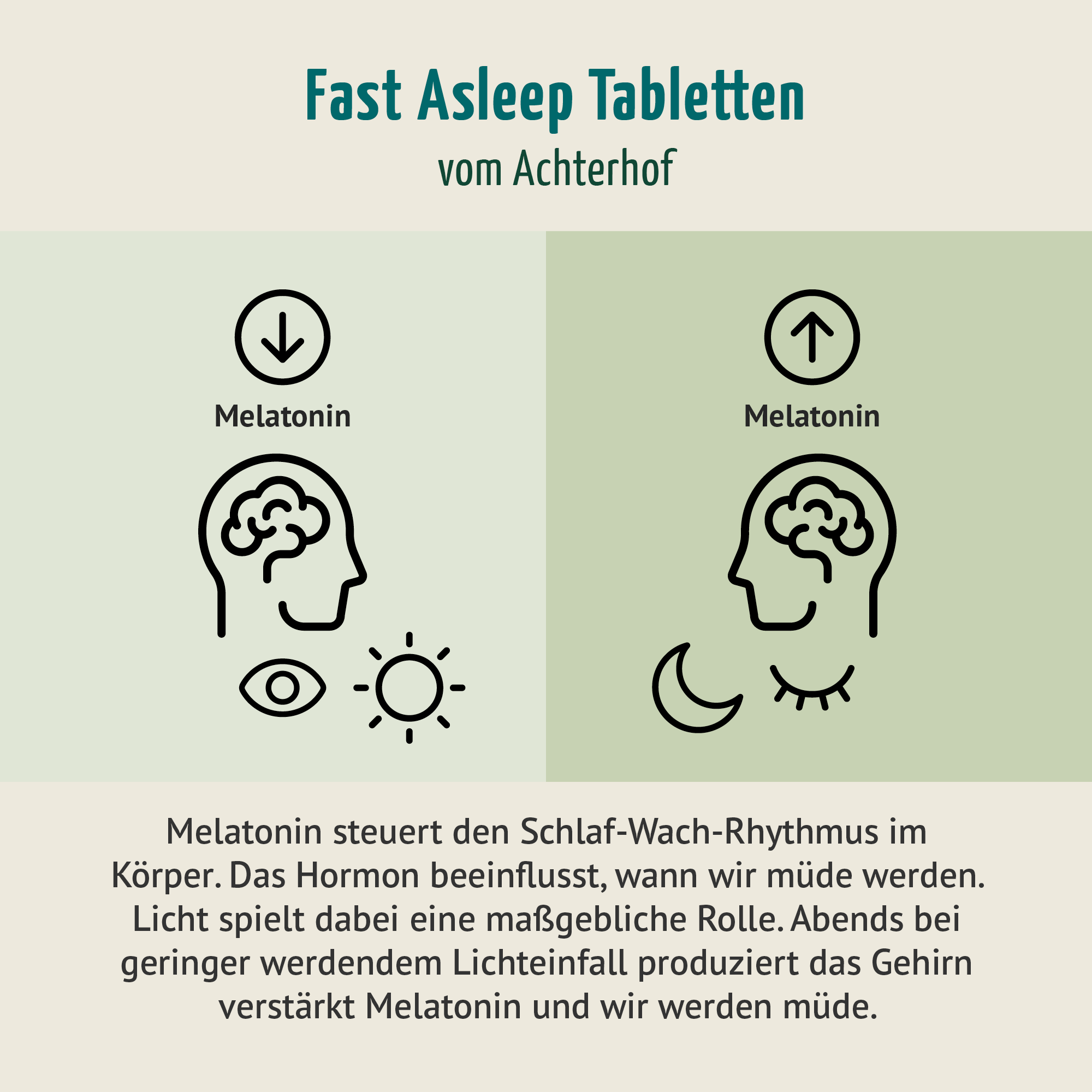 Melatonin Magnesium Komplex Fast Asleep (180 Tabletten)