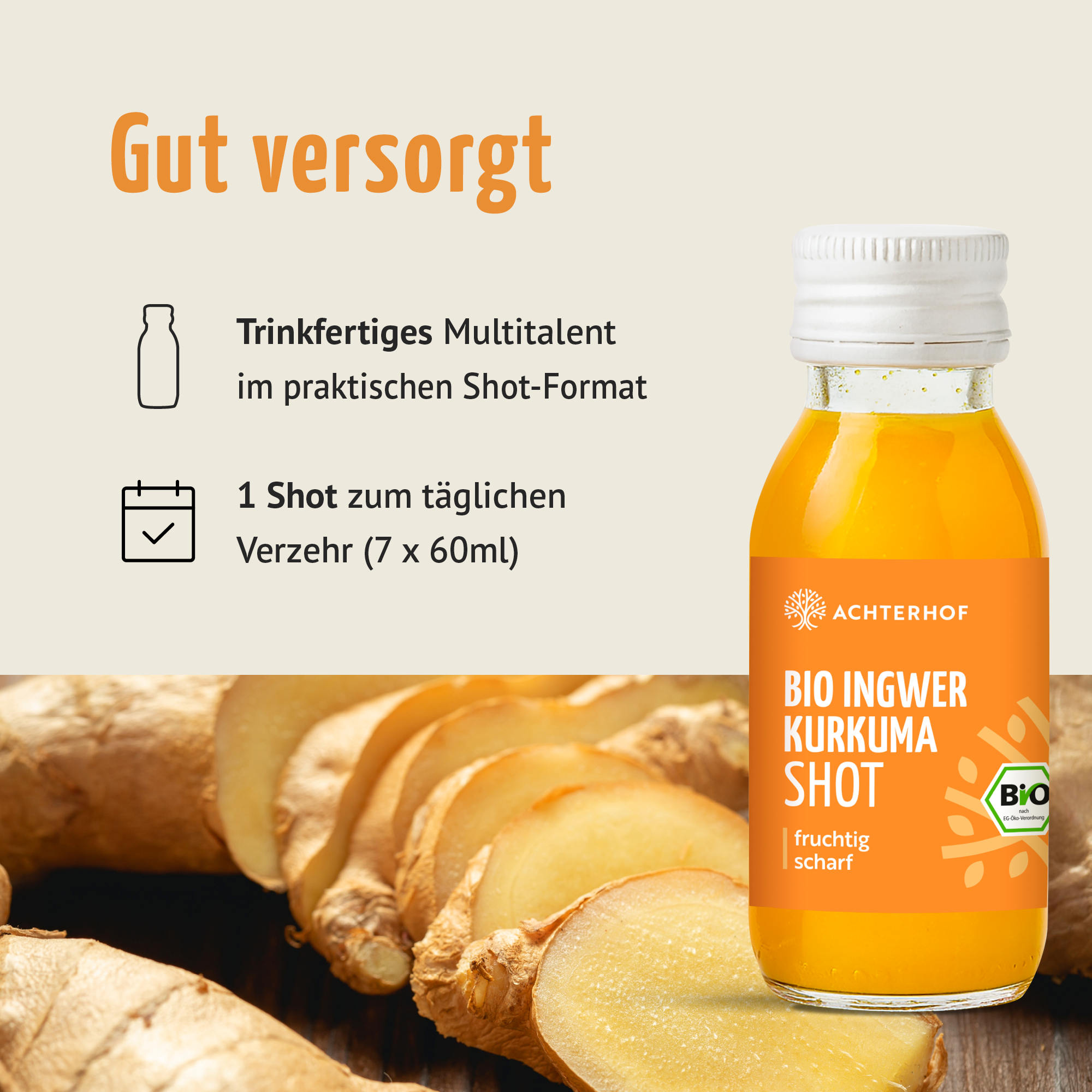 Saftzeit & Ingwer Kurkuma Shot Fastenpaket