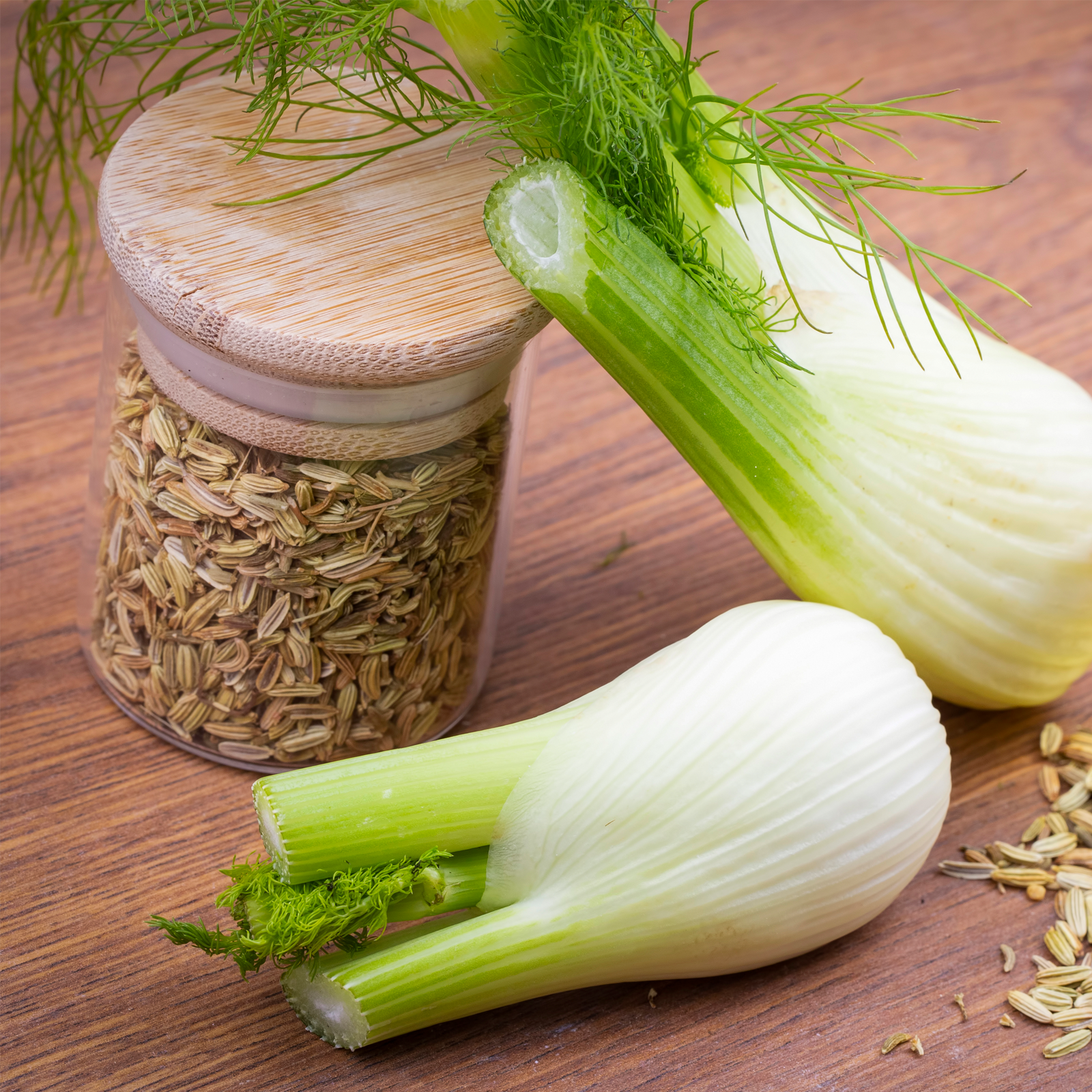 Fenchelsamen ganz (1000g)