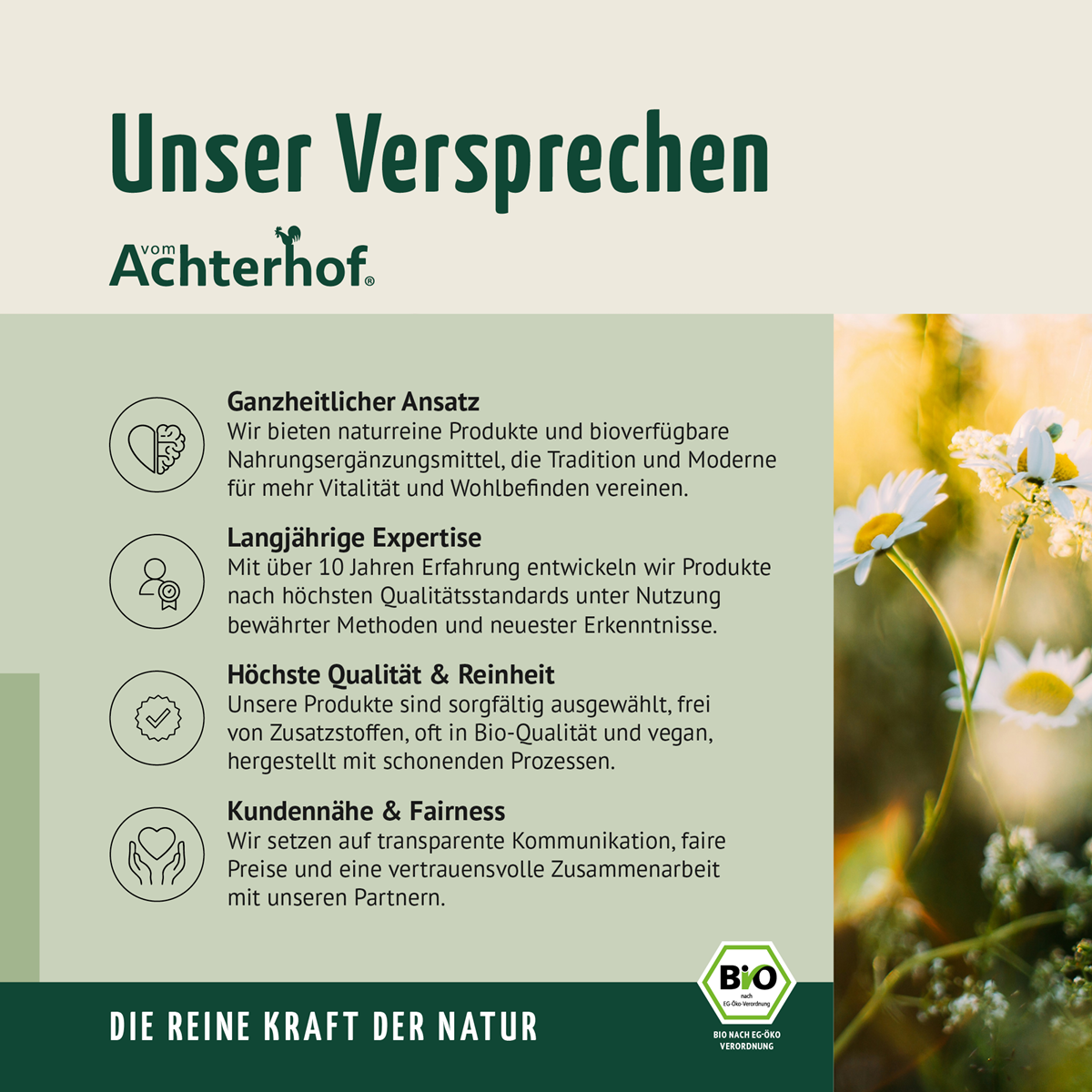 Bio Ananas Fruchtpulver (100g)