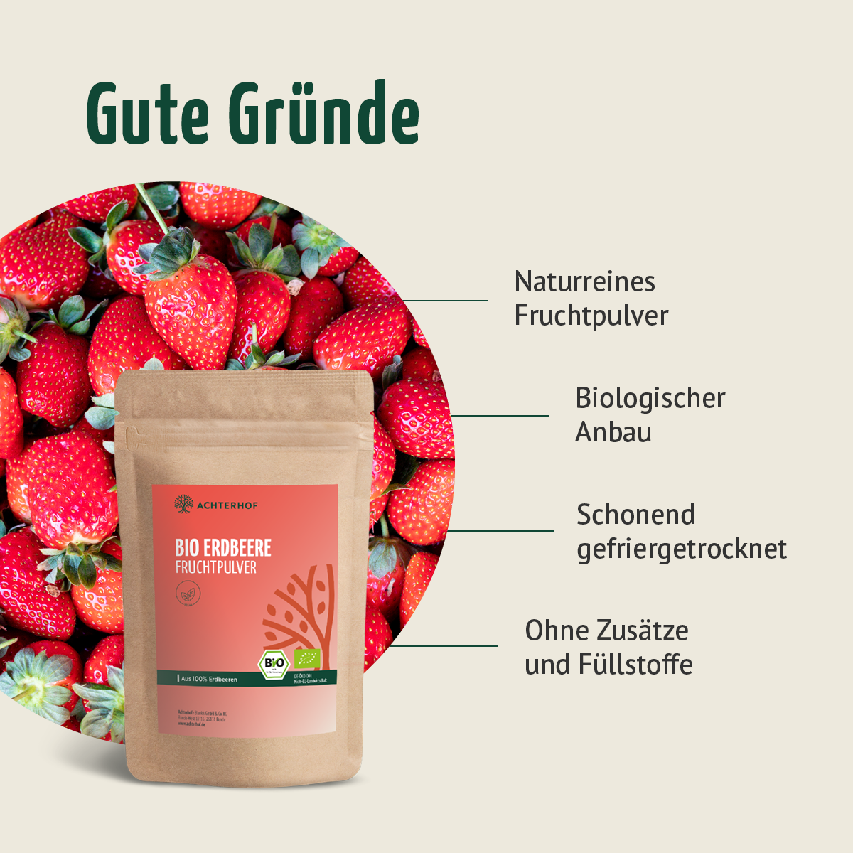 Bio Erdbeere Fruchtpulver (100g)