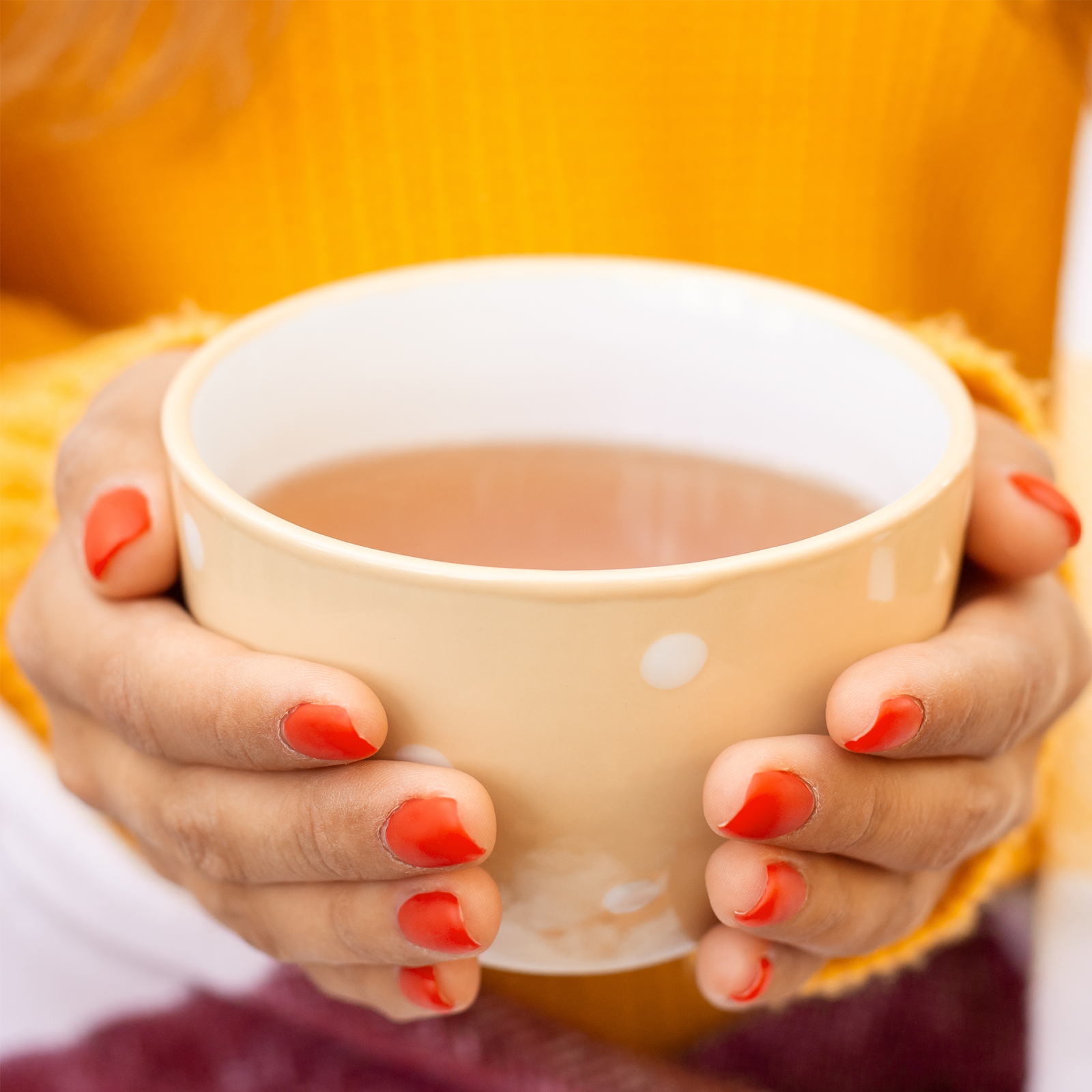 Goldrutenkraut geschnitten (1000g)