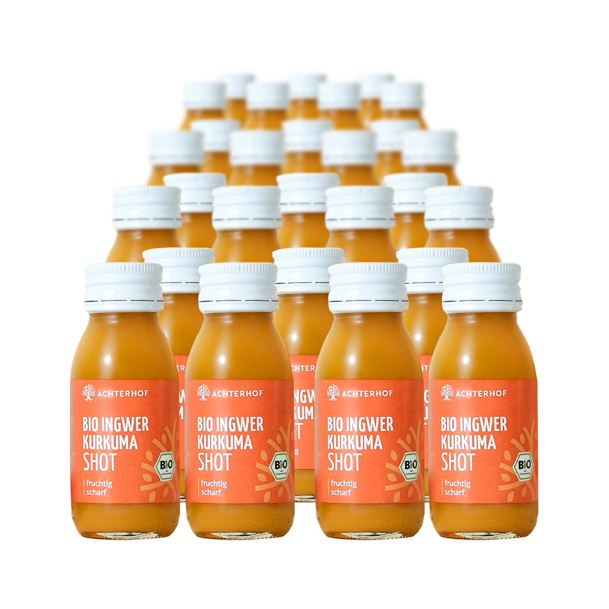 Monatskur Ingwer Kurkuma Shot Bio