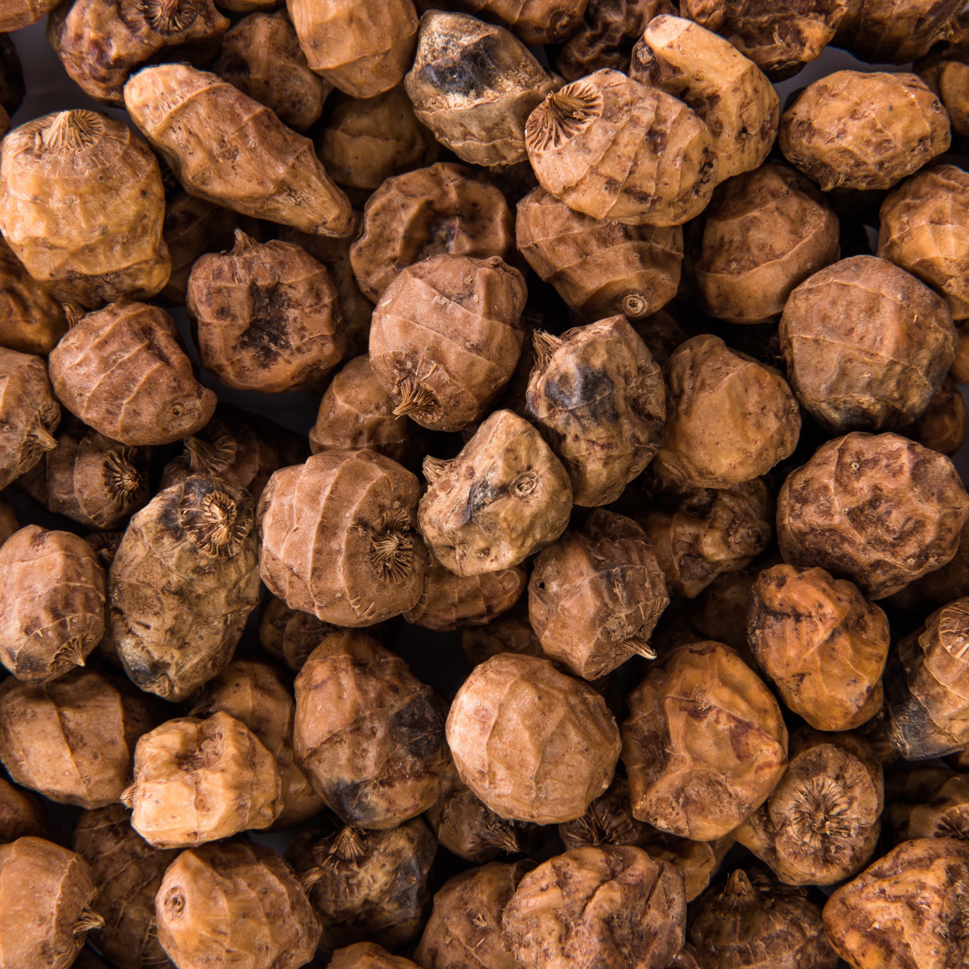 Bio Kakao Erdmandel Pops (100g)