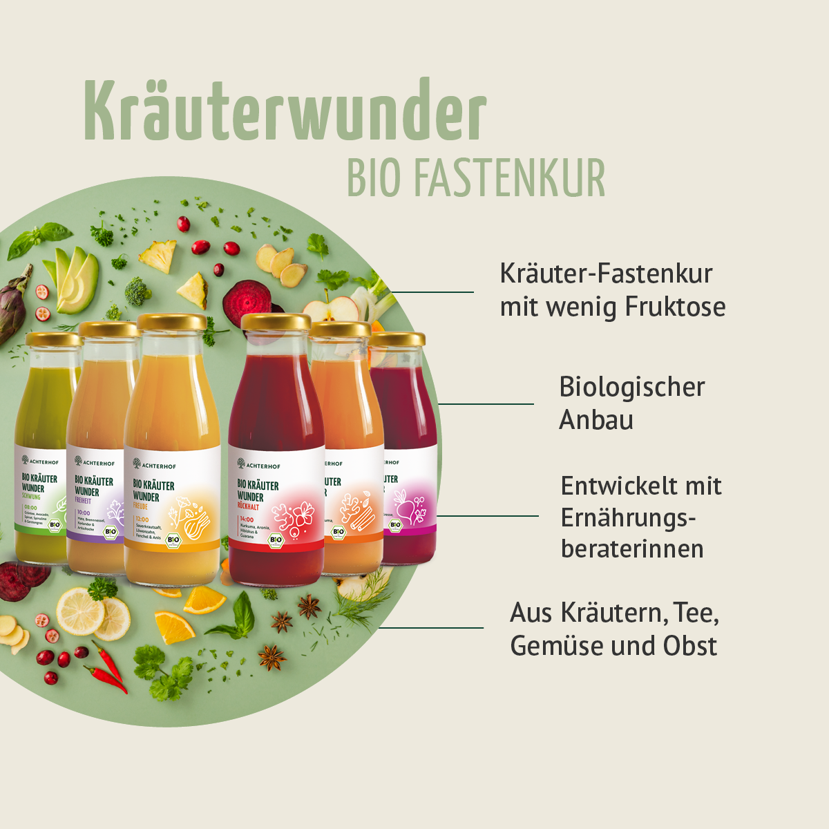 Kräuterwunder Bio Fastenkur 3 Tage (18 Flaschen)