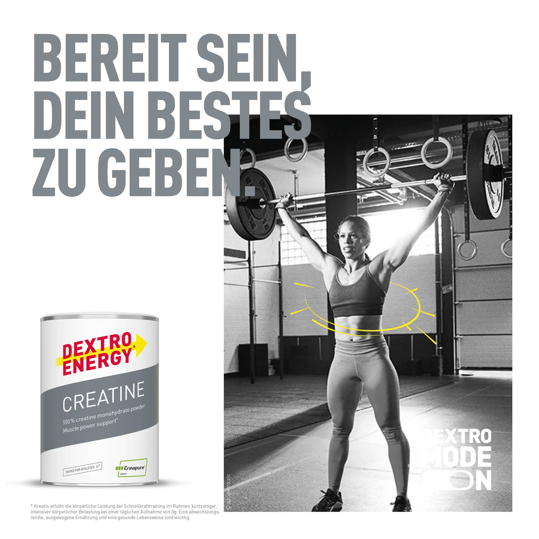 Creatine Creapure (500g)