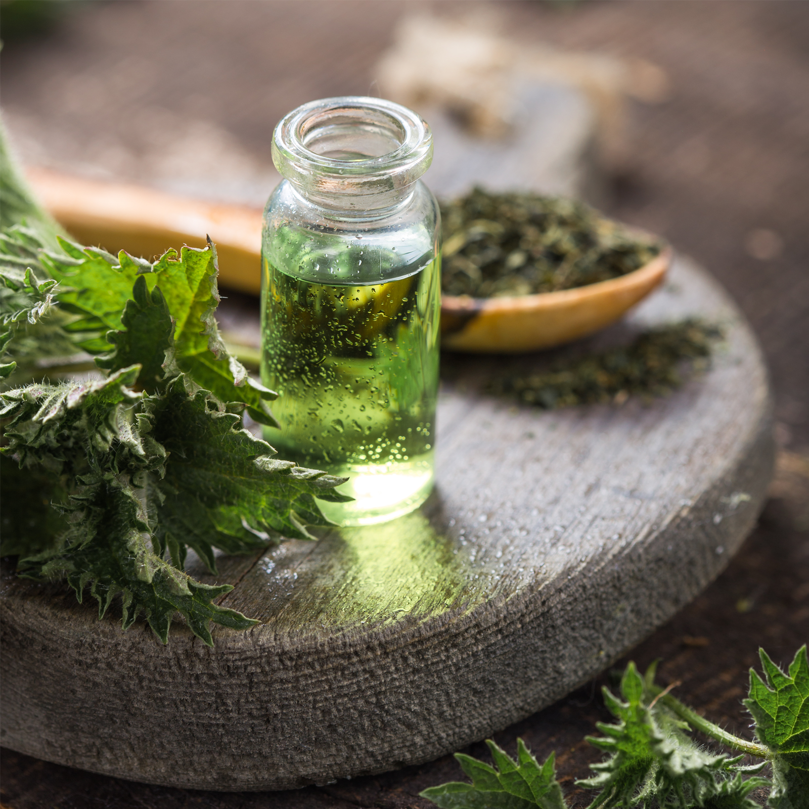 Brennnesselwurzel geschnitten (500g)