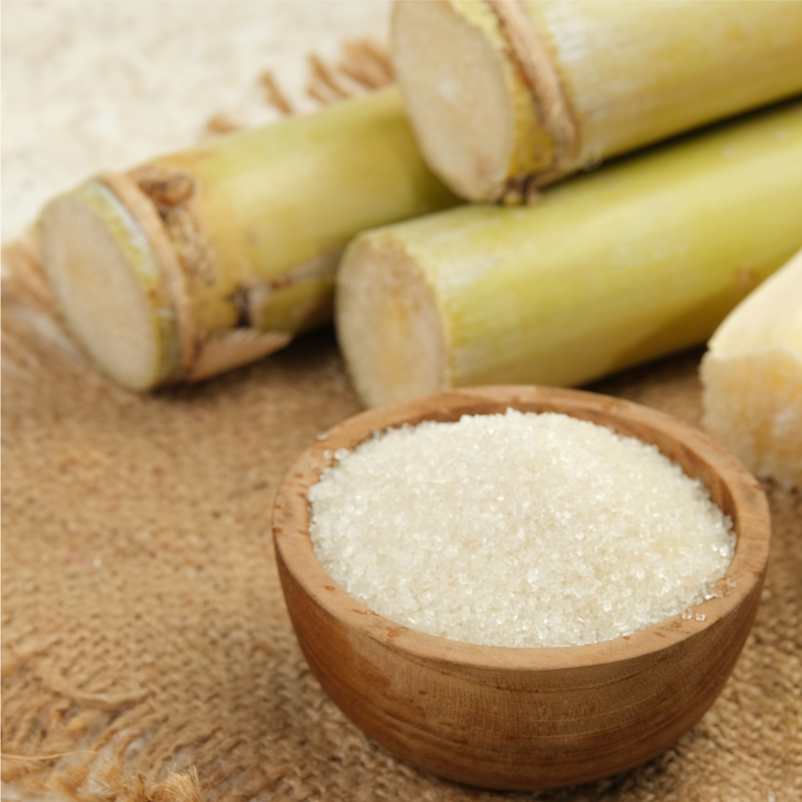 Panela Zucker Bio (1000g)