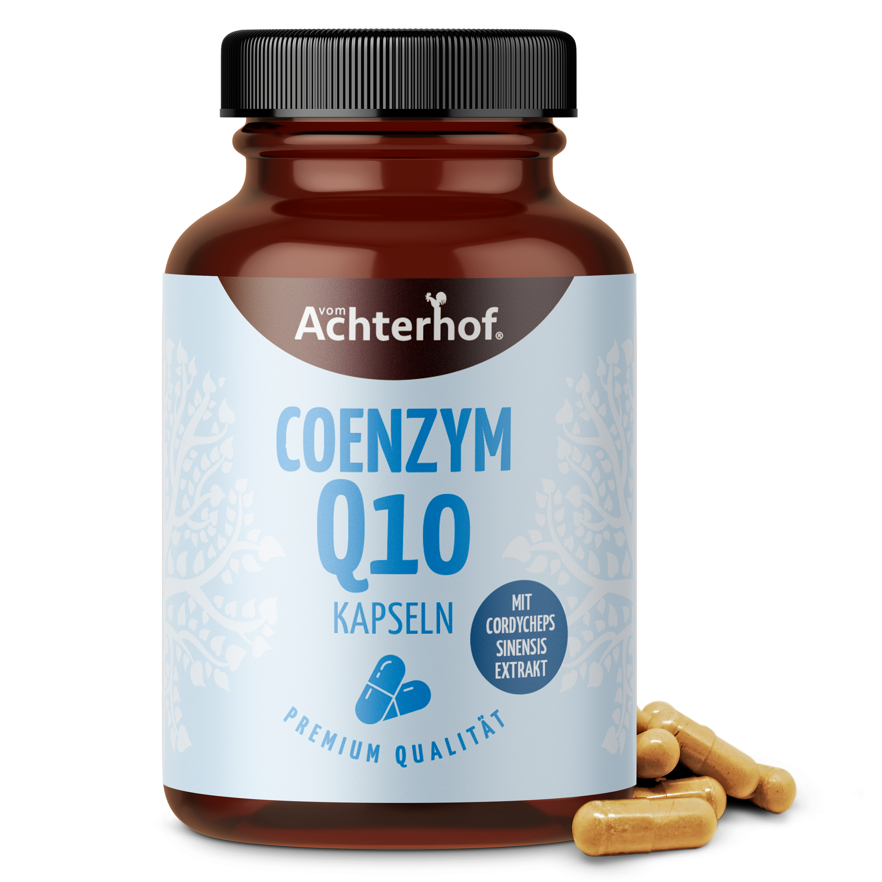 Coenzym Q10 (100 Kapseln)