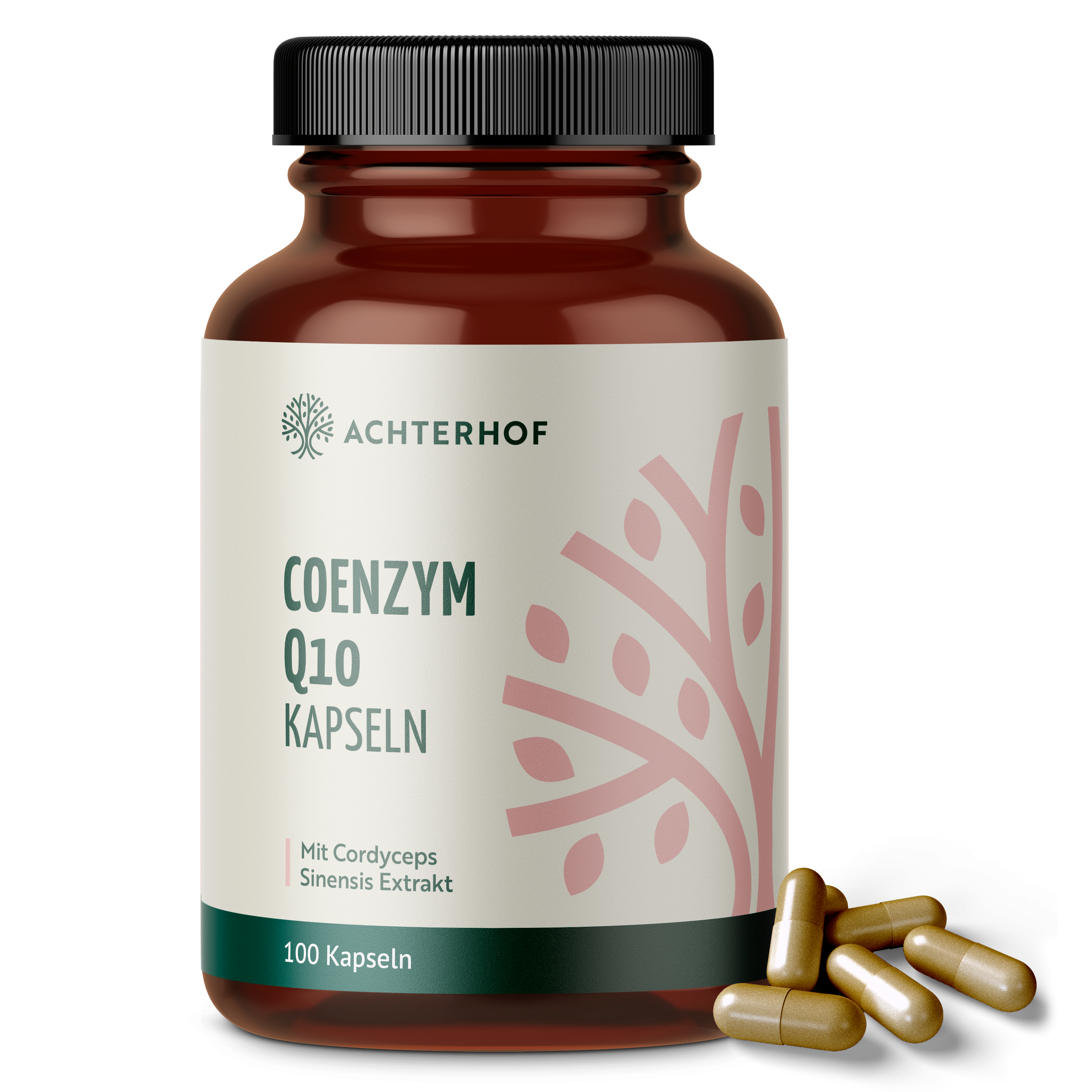 Coenzym Q10 Cordyceps (100 Kapseln)