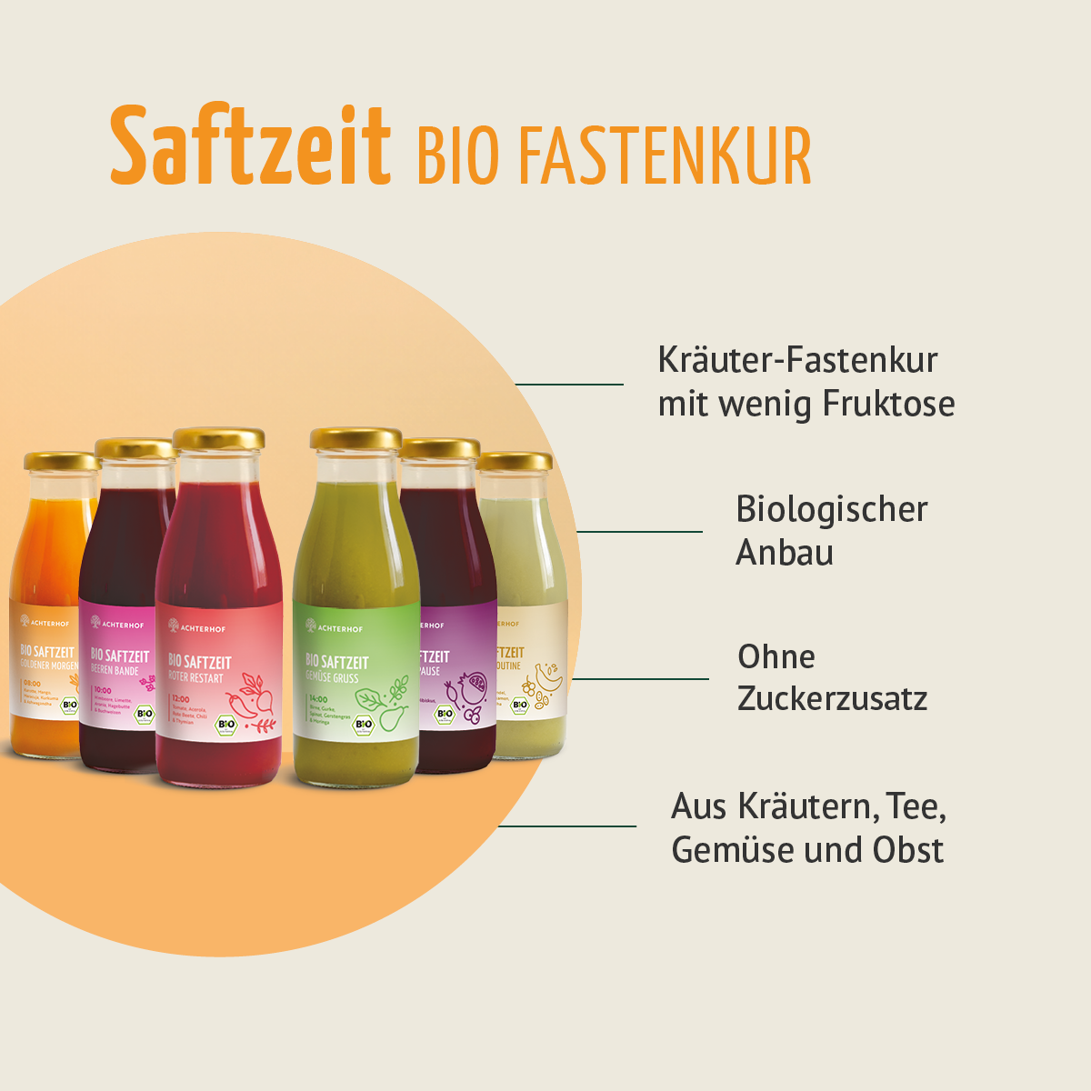 Saftzeit Bio Fastenkur 3 Tage (18 Flaschen)