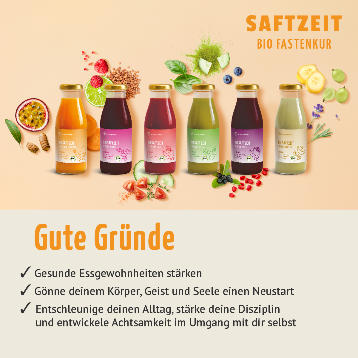 Saftzeit Bio Fastenkur 5 Tage (30 Flaschen)