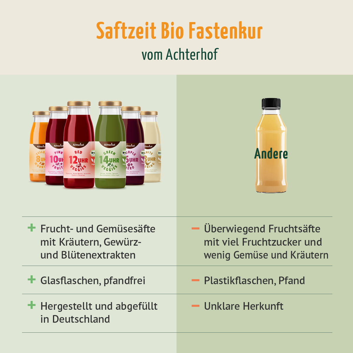 Saftzeit Bio Fastenkur 3 Tage (18 Flaschen)