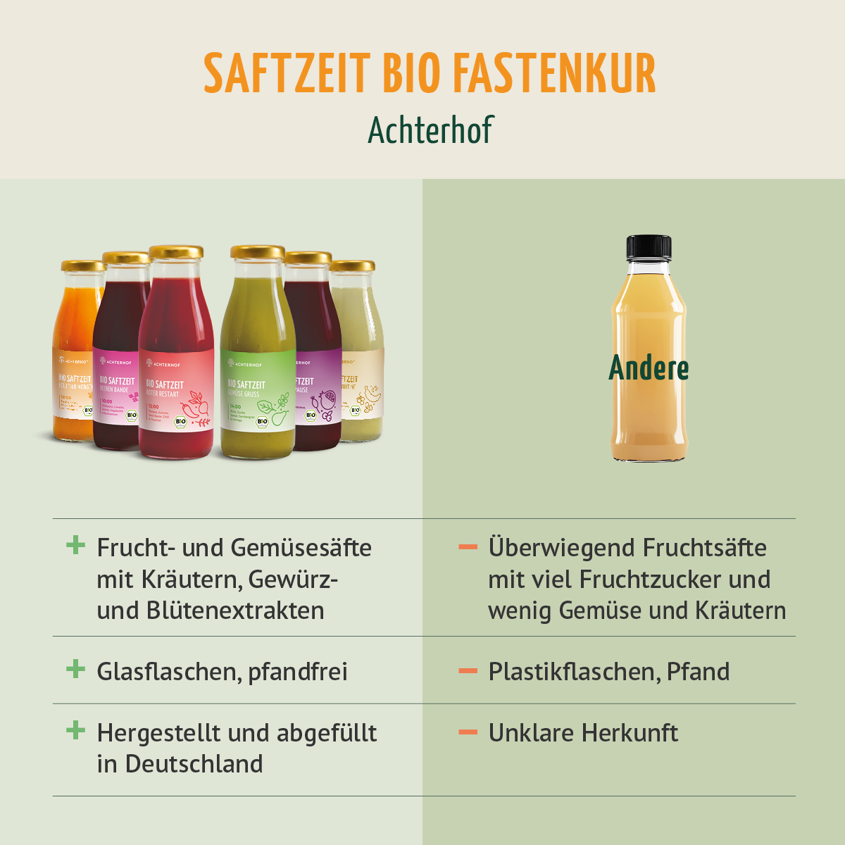 Saftzeit Bio Fastenkur 7 Tage (42 Flaschen)