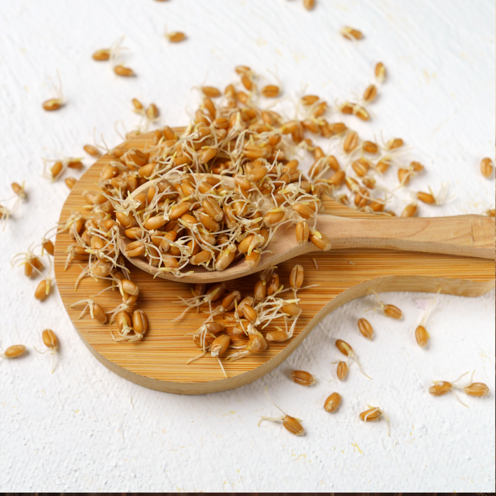 Spermidin aus Weizenkeimen Bio (150g)