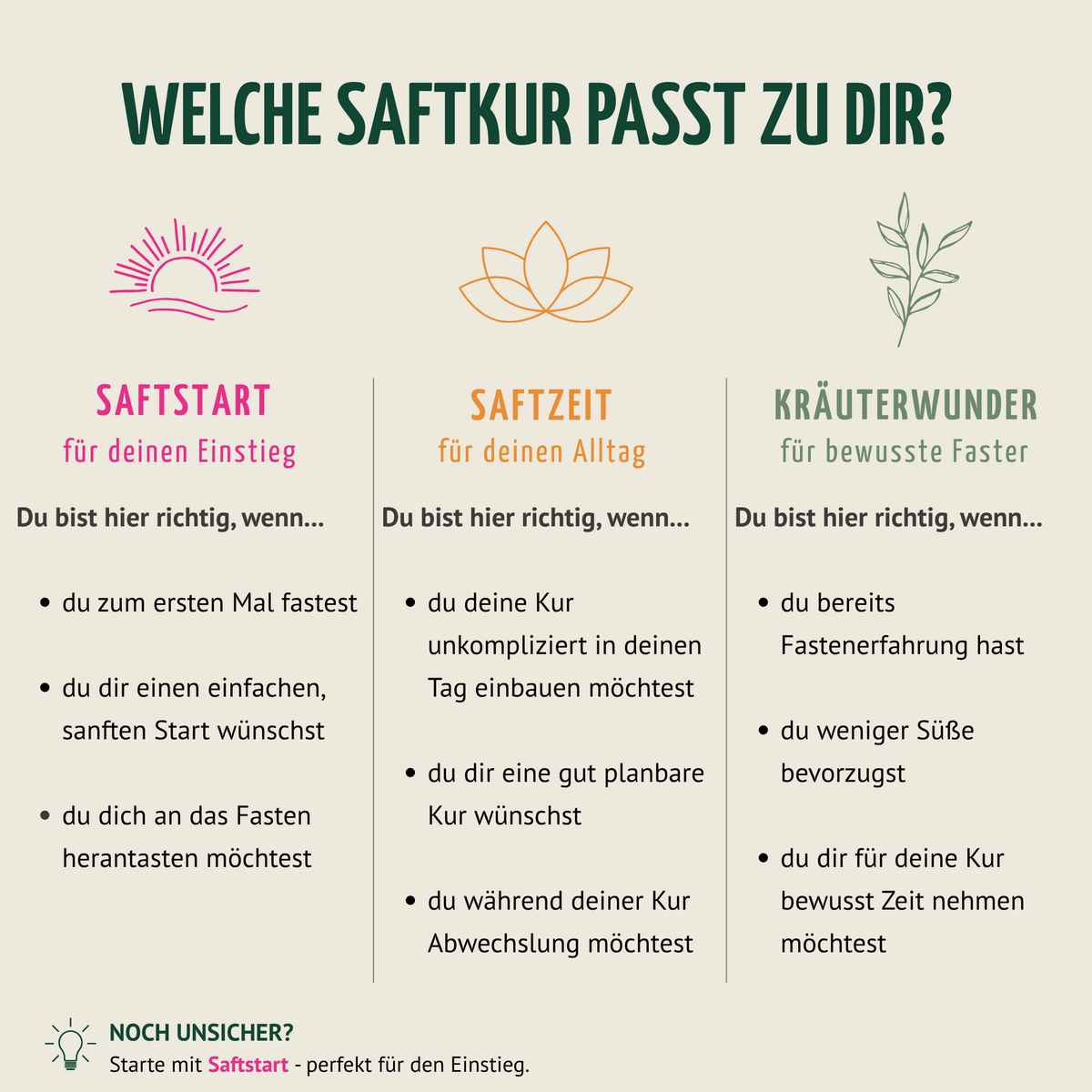 Saftstart Bio Saftkur 1-7 Tage (6 Flaschen pro Tag)