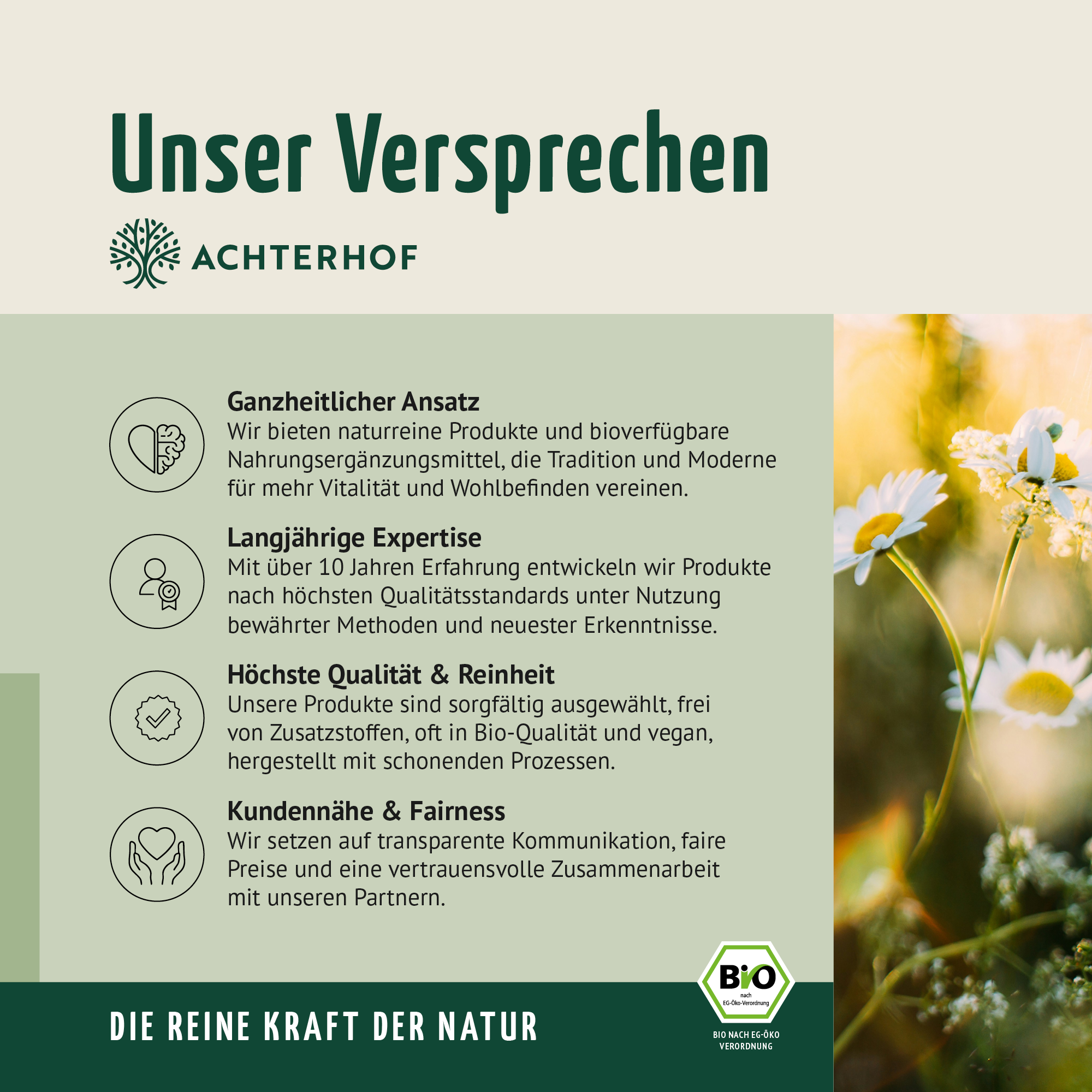 Bio Erdbeere Fruchtpulver (100g)