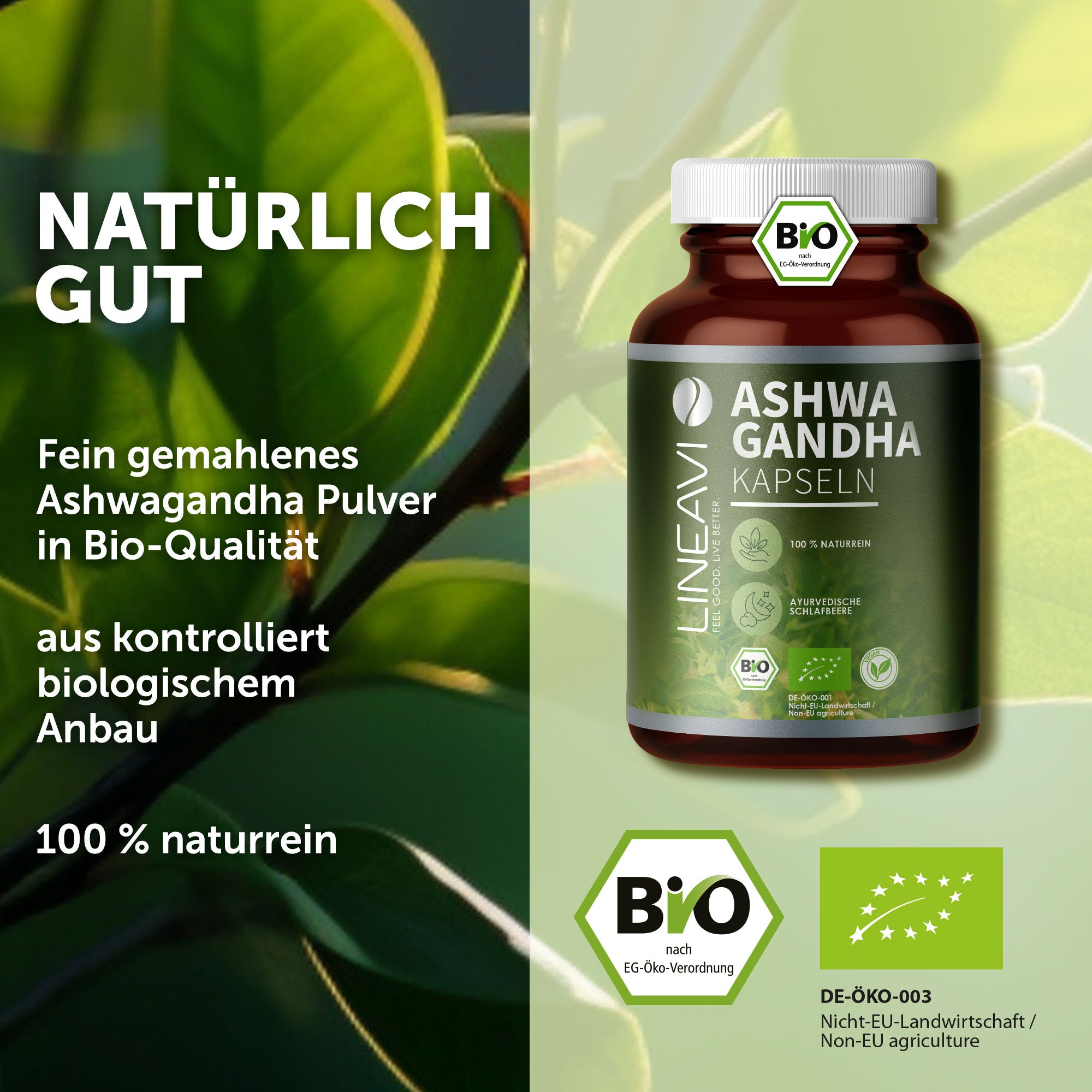 Ashwagandha Kapseln bio (150 Kapseln)