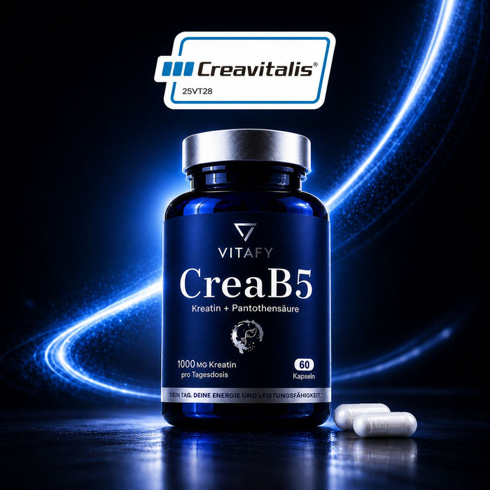 VITAFY CreaB5 Energie Formel