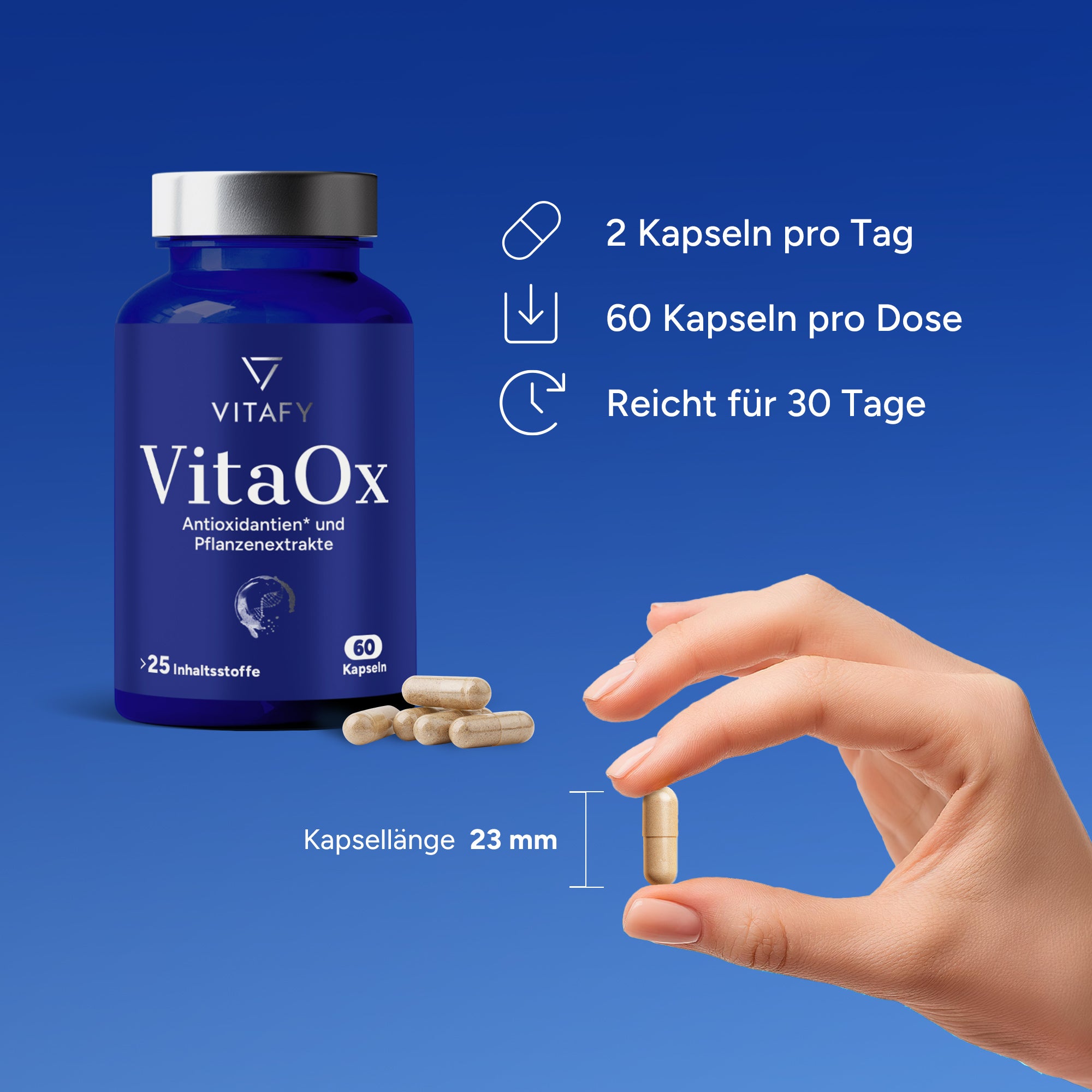 VitaOx (60 Kapseln)