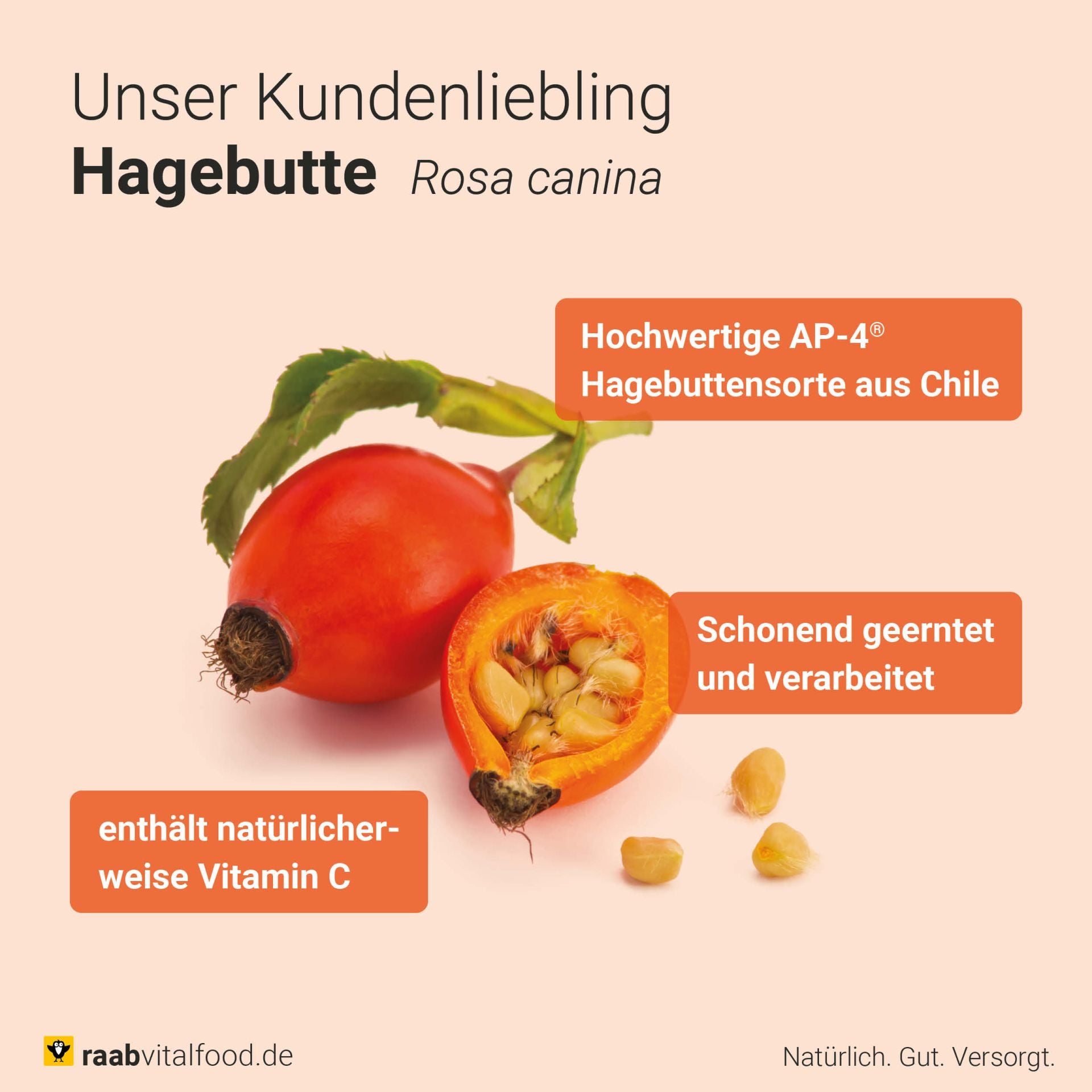 Bio Hagebutten Pulver (150g)