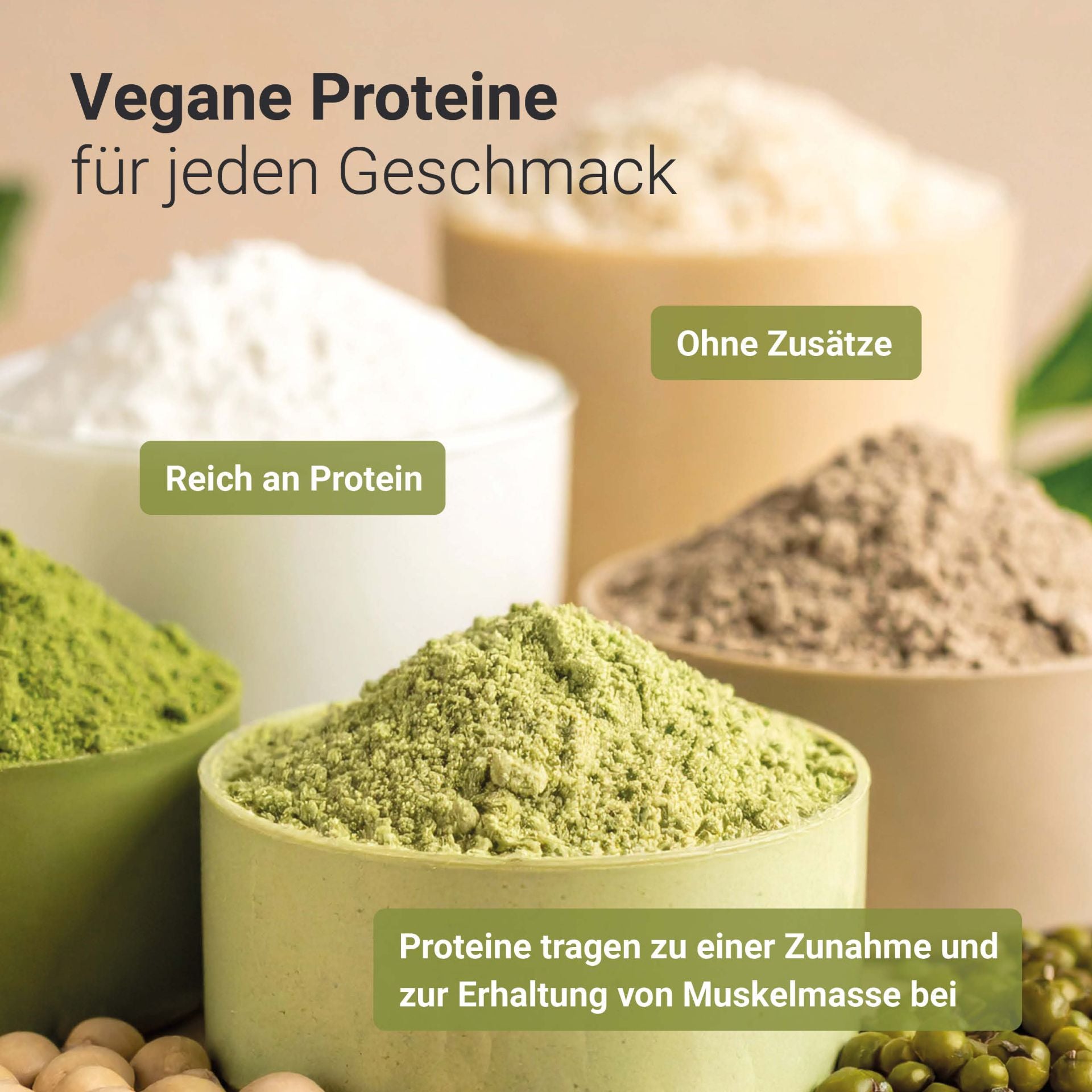 Bio Reis Protein Pulver (400g)