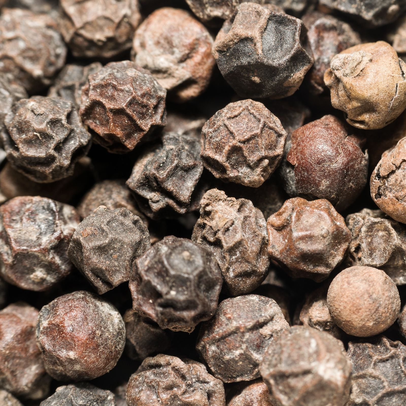 Pfeffer schwarz ganz Bio (500g)