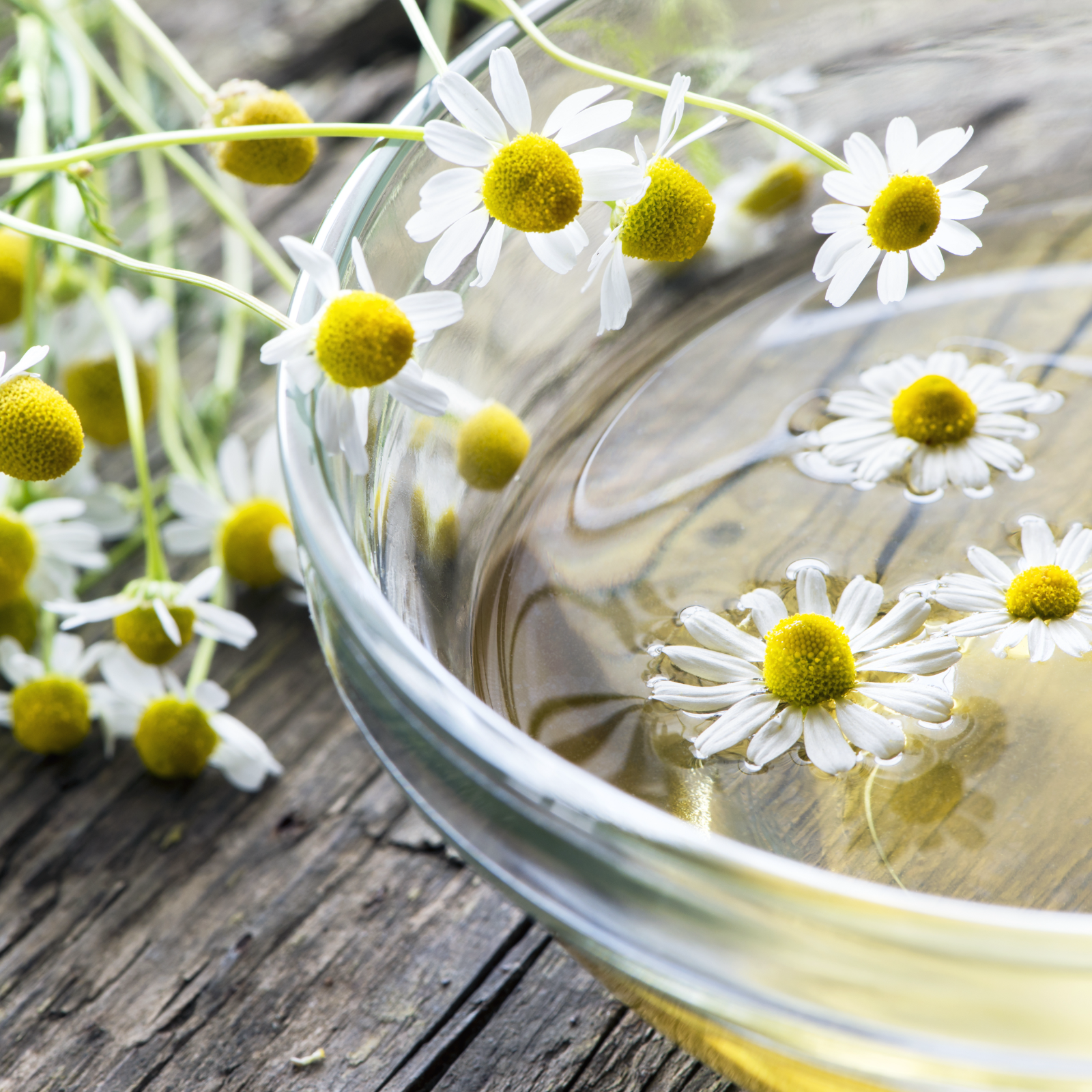 Kamillenblüten ganz Bio (500g)