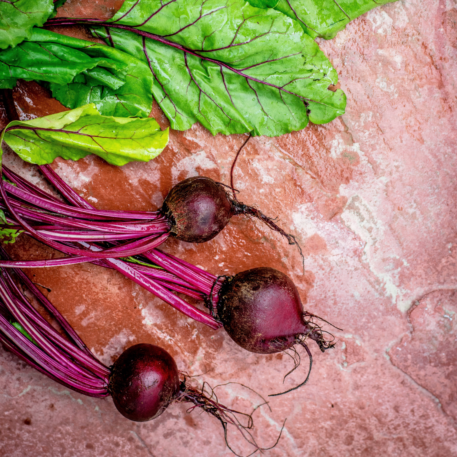Rote Beete gemahlen (250g)
