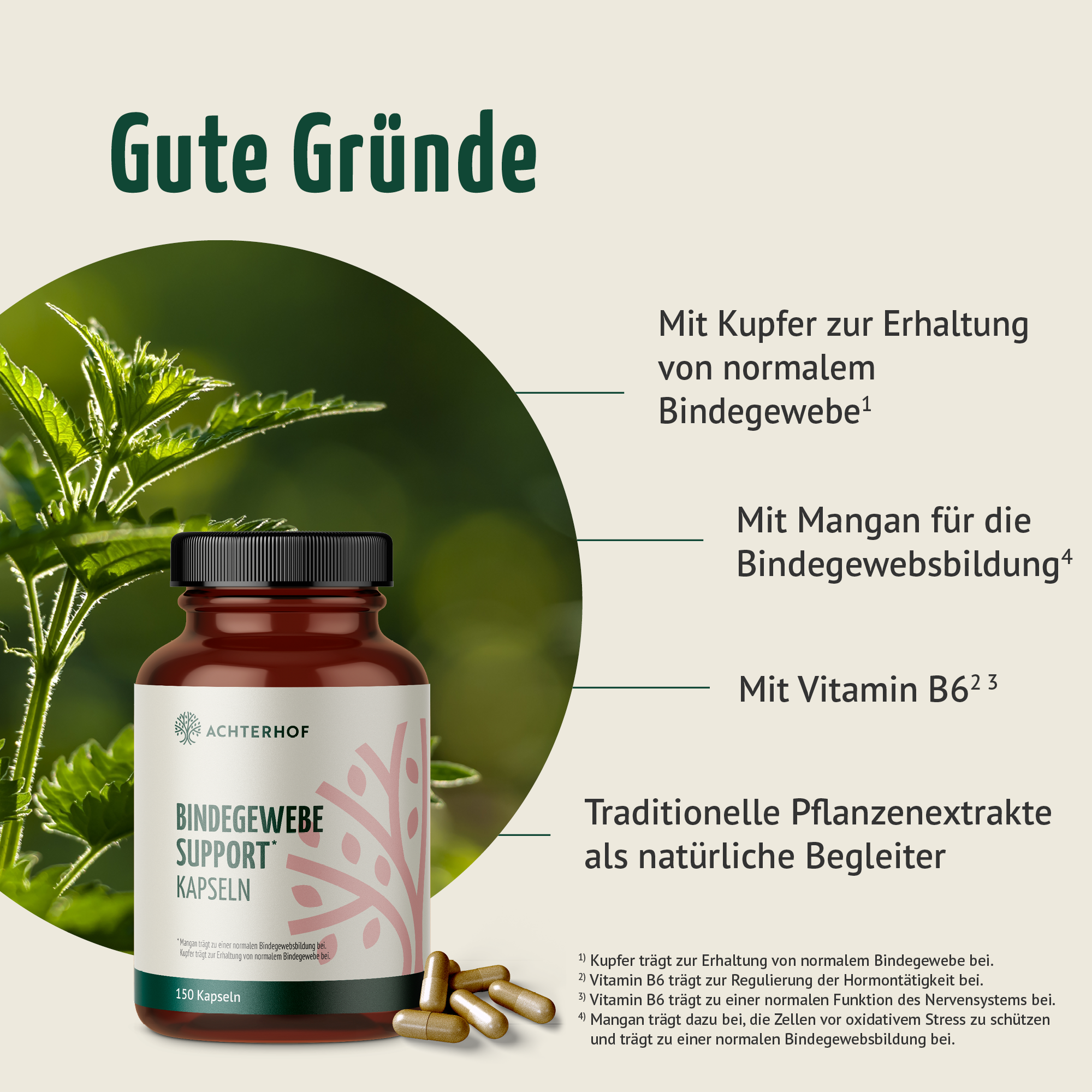 Bindegewebe Support Kapseln (180 Kapseln)