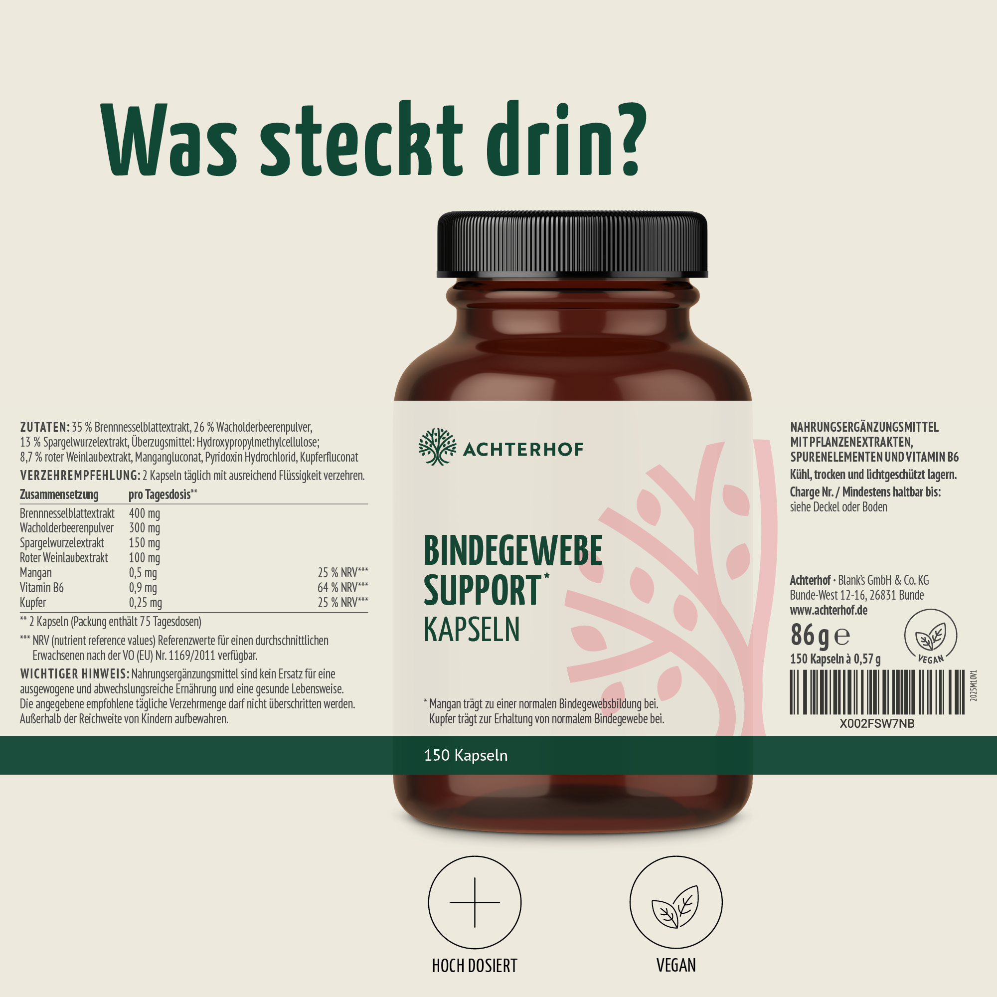 Bindegewebe Support Kapseln (180 Kapseln)