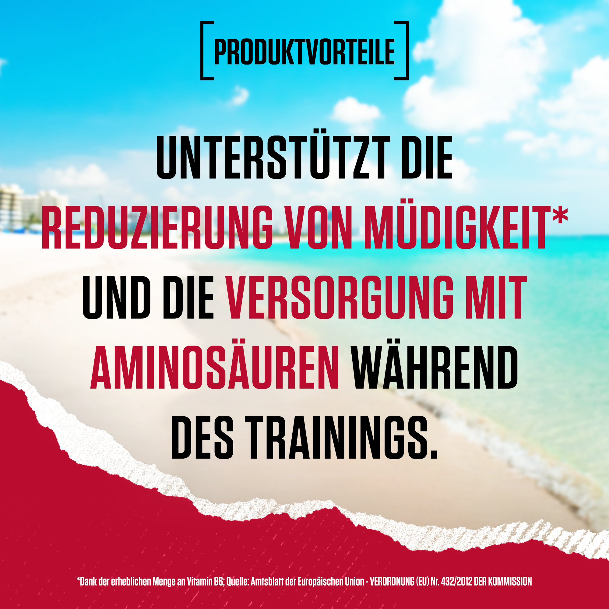 Amino X Aminosäuren BCAA (435g)