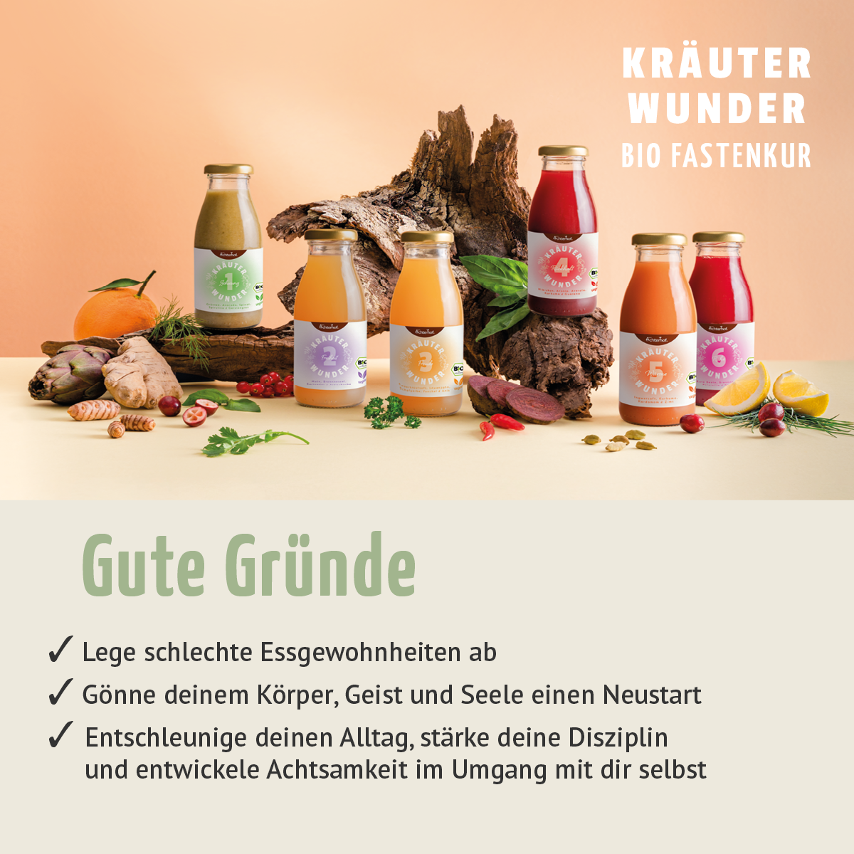 Kräuterwunder & Mikronährstoffe Fastenpaket