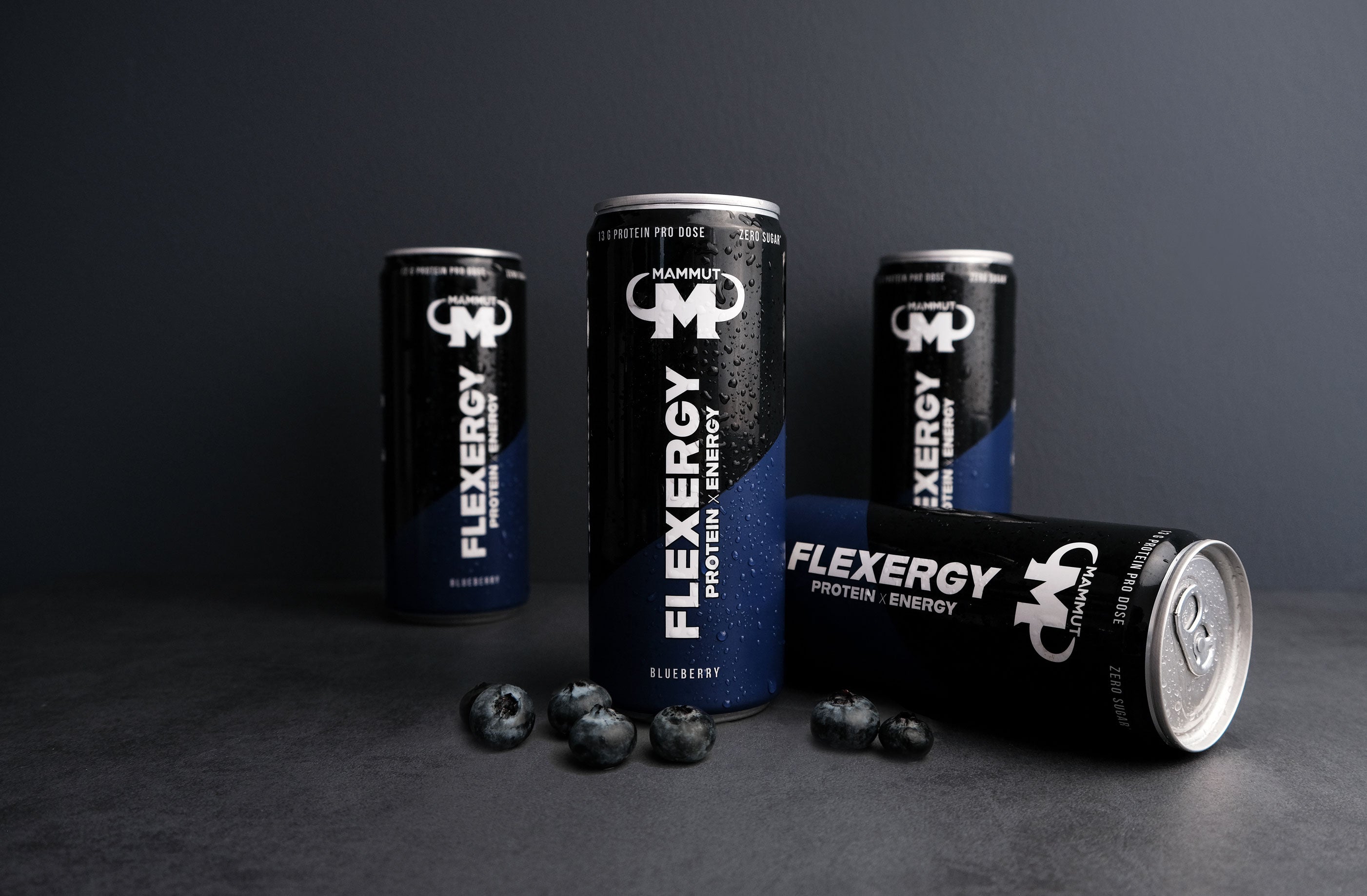 Flexergy Protein Energy Drink Blueberry (24x330ml)