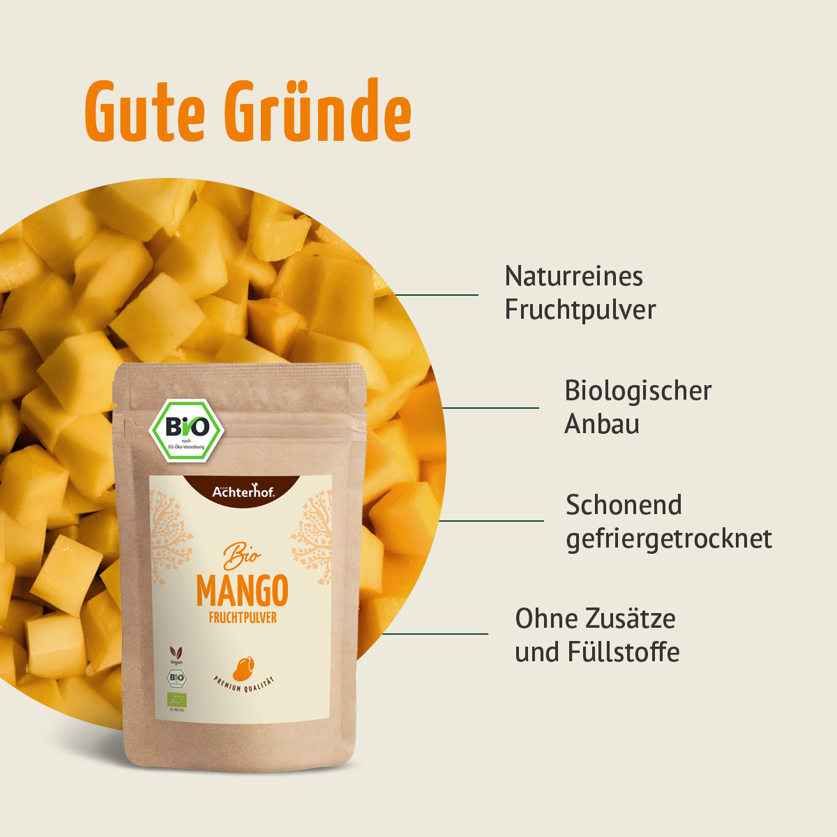 Bio Mango Fruchtpulver (100g)