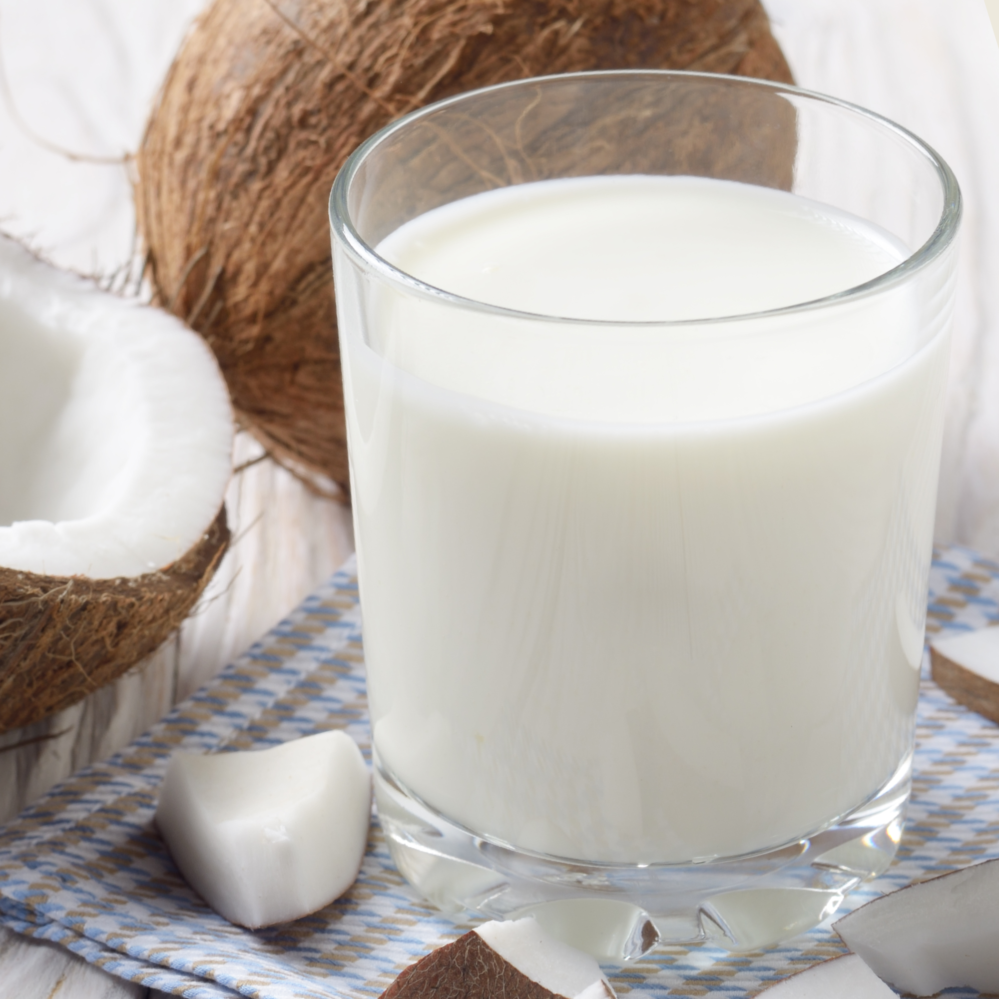 Bio Kokosnussmilch Pulver (250g)