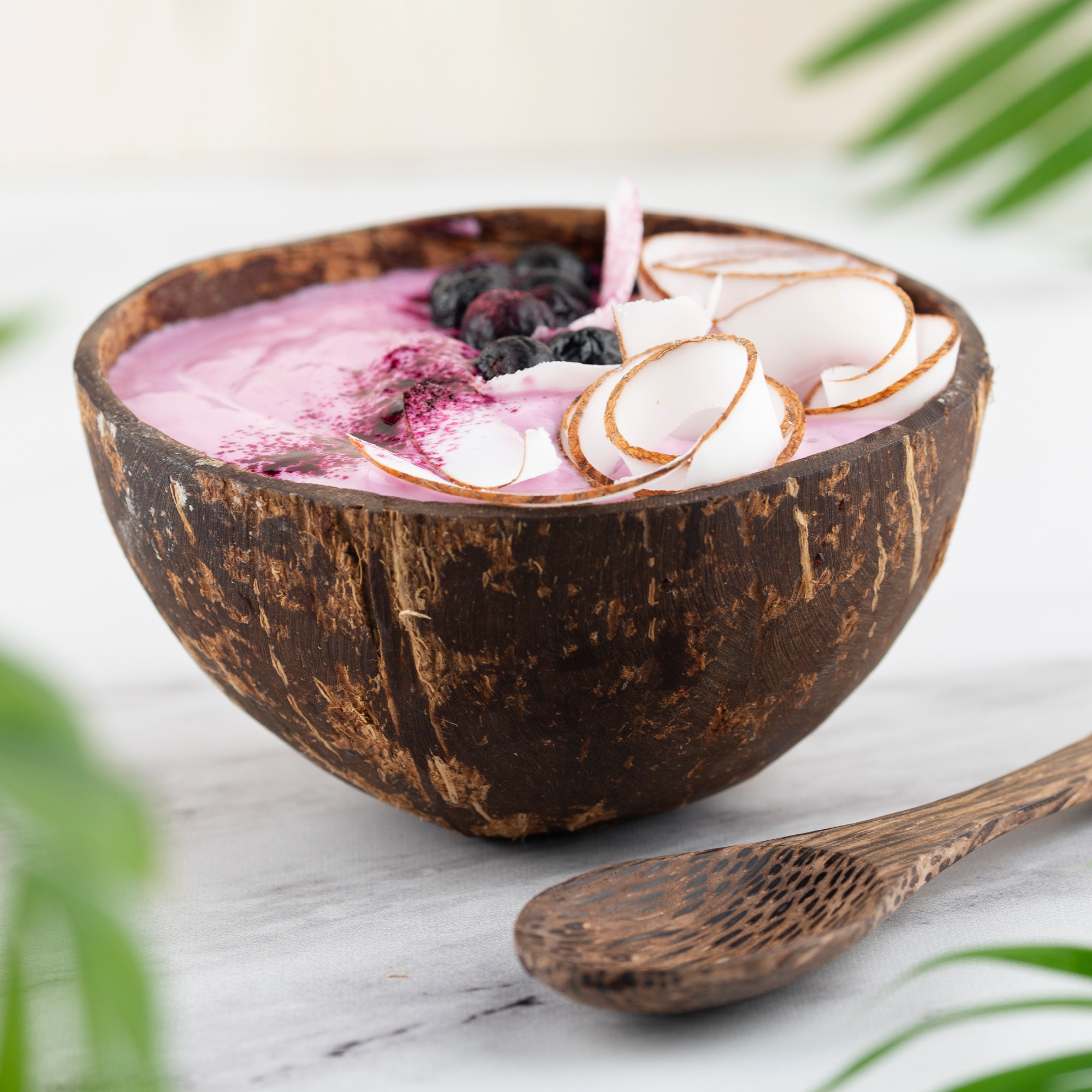 Bio Kokosnussmilch Pulver (500g)