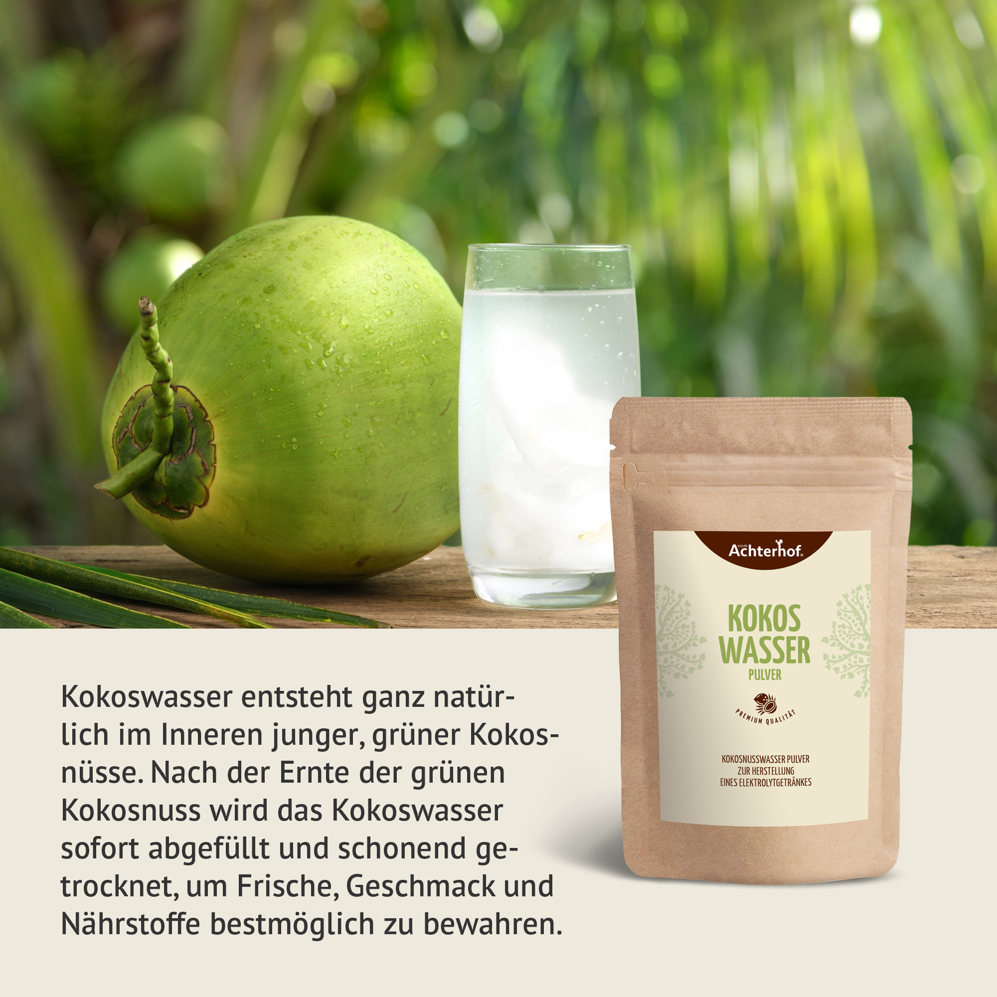 Kokoswasser Pulver (500g)